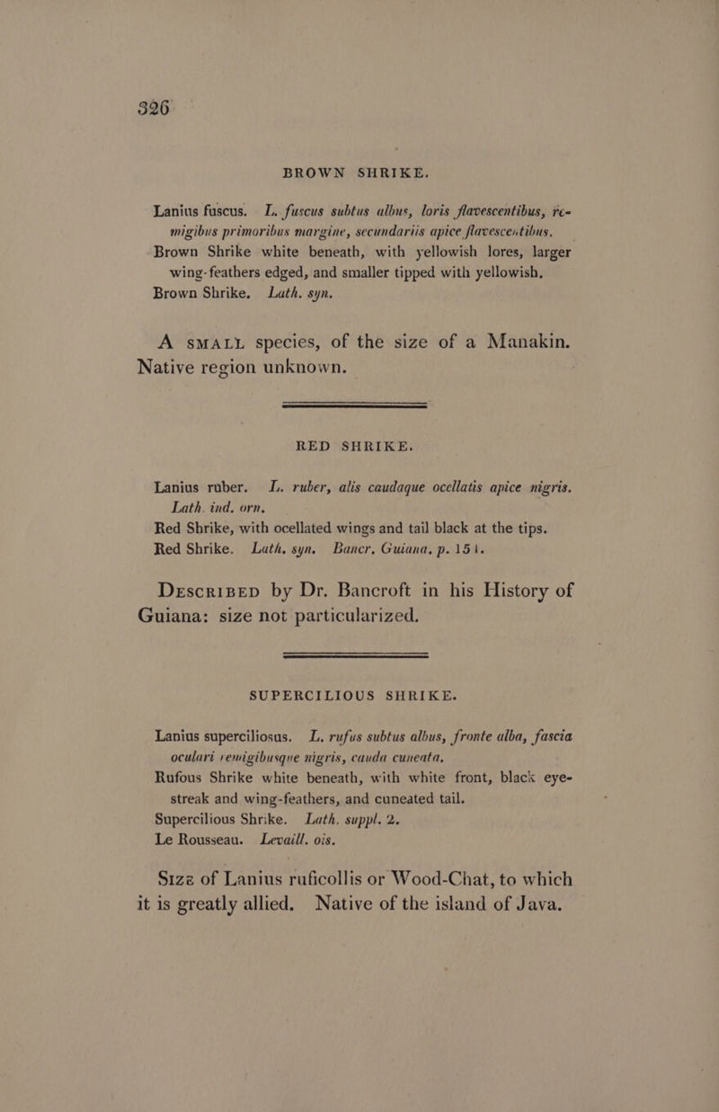 BROWN SHRIKE, Lanius fuscus. L. fuscus subtus albus, loris flavescentibus, re- migibus primoribus margine, secundariis apice flacescentibus, ‘Brown Shrike white beneath, with yellowish lores, larger wing- feathers edged, and smaller tipped with yellowish. Brown Shrike. Lath. syn. A sMALL species, of the size of a Manakin. Native region unknown. RED SHRIKE. Lanius ruber. LL. ruber, alis caudaque ocellatis apice nigris. Lath. ind, orn, | Red Shrike, with ocellated wings and tail black at the tips. Red Shrike. Lath. syn. Bancr, Guiana, p. 151. Descrisep by Dr. Bancroft in his History of Guiana: size not particularized. SUPERCILIOUS SHRIKE. Lanius superciliosus. L. rufus subtus albus, fronte alba, fascia oculari remigibusque nigris, cauda cuneata, Rufous Shrike white beneath, with white front, black eye- streak and wing-feathers, and cuneated tail. Supercilious Shrike. Lath. suppl. 2. Le Rousseau. Levaill. ois. Size of Lanius ruficollis or Wood-Chat, to which it is greatly allied. Native of the island of Java.