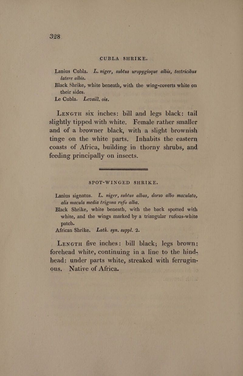 CUBLA SHRIKE. Lanius Cubla. L. niger, subtus uropygioque albis, tectricibus latere albis. Black Shrike, white beneath, with the wing-coverts white on their sides. Le Cubla. Levaill. ois. LENGTH six inches: bill and legs black: tail slightly tipped with white. Female rather smaller and of a browner black, with a slight brownish tinge on the white parts. Inhabits the eastern coasts of Africa, building in thorny shrubs, and feeding principally on insects. SPOT-WINGED SHRIKE. Lanius signatus. lL. niger, subtus albus, dorso albo maculato, alis macula media trigona rufo alba. Black Shrike, white beneath, with the back spotted with white, and the wings marked by a triangular rufous-white patch. African Shrike. Lath. syn. suppl. 2. Lenertu five inches: bill black; legs brown: forehead white, continuing in a line to the hind- head: under parts white, streaked with ferrugin- ous. Native of Africa.