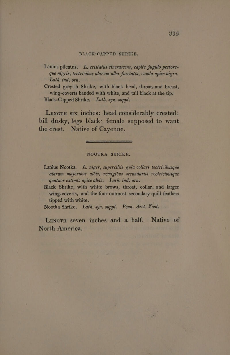 BLACK-CAPPED SHRIKE. Lanius pileatus. LL. cristatus cinerascens, capite jugulo pectore- que nigris, tectricibus alarum albo fasciatis, cauda apice nigra. Lath. ind, orn. Crested greyish Shrike, with black head, throat, and breast, wing-coverts banded with white, and tail black at the tip. Black-Capped Shrike. Lath. syn. suppl. Lenetu six inches: head considerably crested: bill dusky, legs black: female supposed to want the crest. Native of Cayenne. RS RET NOOTKA SHRIKE. Lanius Nootka. LL. niger, superciliis gula collari tectricibusque alarum majoribus albis, remigibus secundariis rectricibusque quatuor extimis apice albis. Lath. ind, orn. Black Shrike, with white brows, throat, collar, and larger wing-coverts, and the four outmost secondary quill-feathers tipped with white. Nootka Shrike. Lath, syn. suppl. Penn. Arct. Zool. Lenetu seven inches and a half. Native of North America.