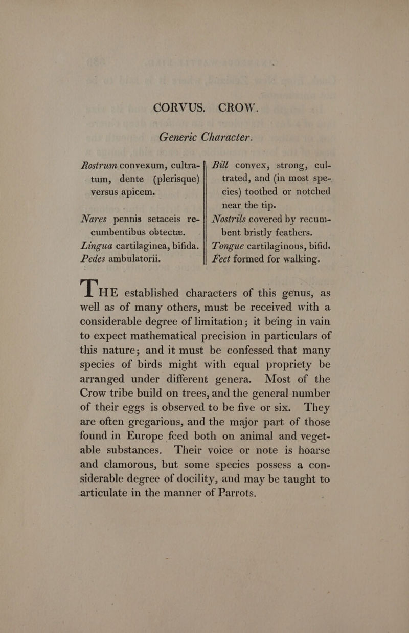 CORVUS. CROW. Generic Character. Rostrum convexum, cultra- {| Bill convex, strong, cul- tum, dente (plerisque) trated, and (in most spe- versus apicem. cies) toothed or notched near the tip. Nares pennis setaceis re- || Nostrils covered by recum- cumbentibus obtectz. bent bristly feathers. Lingua cartilaginea, bifida. || Tongue cartilaginous, bifid. Pedes ambulatorii. Feet formed for walking. Tue established characters of this genus, as well as of many others, must be received with a considerable degree of limitation; it being in vain to expect mathematical precision in particulars of this nature; and it must be confessed that many species of birds might with equal propriety be arranged under different genera. Most of the Crow tribe build on trees, and the general number of their eggs is observed to be five or six. They are often gregarious, and the major part of those found in Europe feed both on animal and veget- able substances. Their voice or note is hoarse and clamorous, but some species possess a con- siderable degree of docility, and may be taught to articulate in the manner of Parrots.