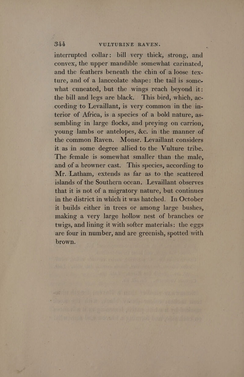interrupted collar: bill very thick, strong, and convex, the upper mandible somewhat carinated, and the feathers beneath the chin of a loose tex- ture, and of a lanceolate shape: the tail is some- what cuneated, but the wings reach beyond it: the bill and legs are black. ‘This bird, which, ac- cording to Levaillant, is very common in the in- terior of Africa, is a species of a bold nature, as- sembling in large flocks, and preying on carrion, young lambs or antelopes, &amp;c. in the manner of the common Raven. Monsr. Levaillant considers it as in some degree allied to the Vulture tribe. The female is somewhat smaller than the male, and of a browner cast. This species, according to Mr. Latham, extends as far as to the scattered islands of the Southern ocean. Levaillant observes that it is not of a migratory nature, but continues in the district in which it was hatched. In October it builds either in trees or among large bushes, making a very large hollow nest of branches or twigs, and lining it with softer materials: the eggs are four in number, and are greenish, spotted with brown. .
