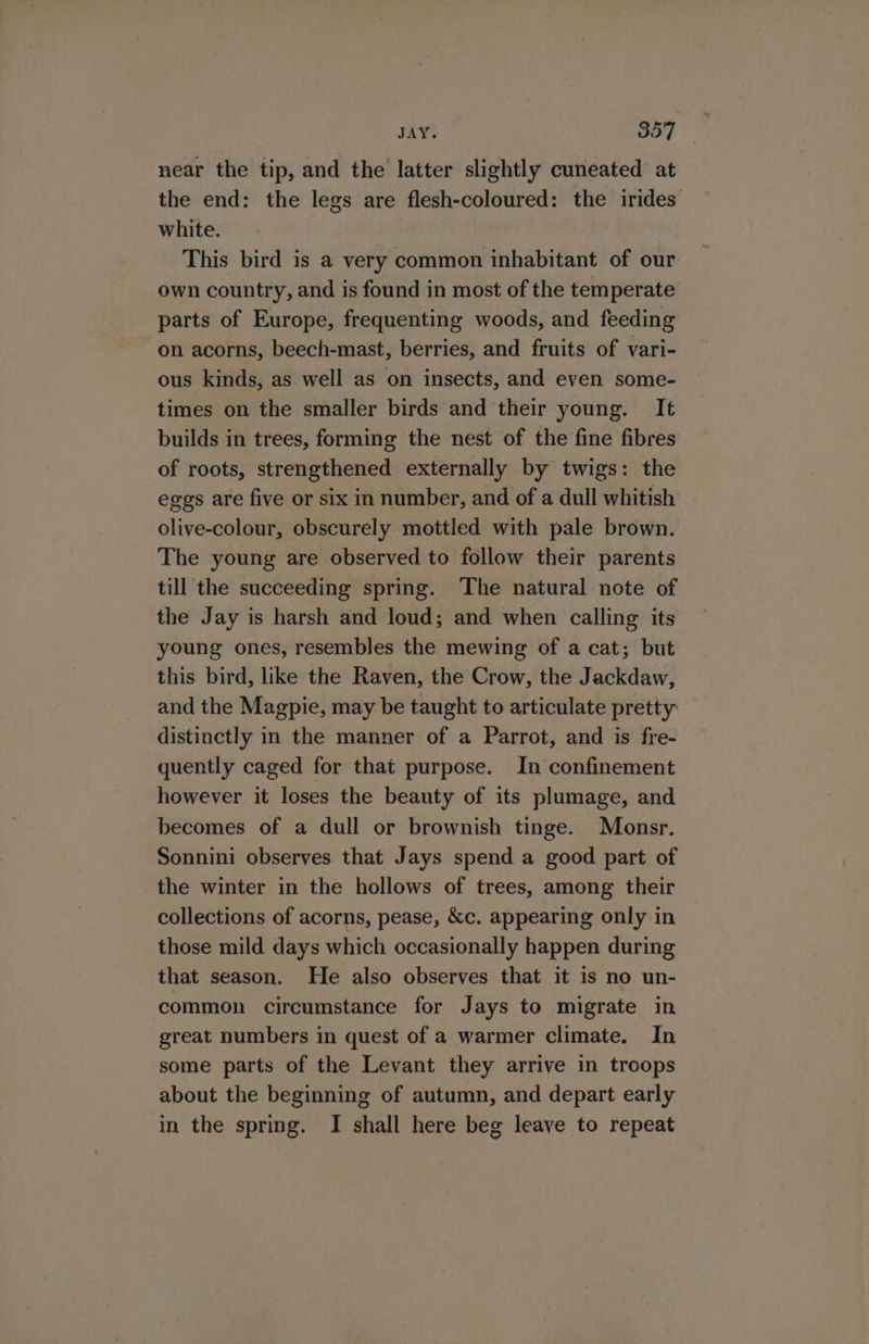 near the tip, and the latter slightly cuneated at the end: the legs are flesh-coloured: the irides’ white. This bird is a very common inhabitant of our own country, and is found in most of the temperate parts of Europe, frequenting woods, and feeding on acorns, beech-mast, berries, and fruits of vari- ous kinds, as well as on insects, and even some- times on the smaller birds and their young. It builds in trees, forming the nest of the fine fibres of roots, strengthened externally by twigs: the eggs are five or six in number, and of a dull whitish olive-colour, obscurely mottled with pale brown. The young are observed to follow their parents till the succeeding spring. The natural note of the Jay is harsh and loud; and when calling its young ones, resembles the mewing of a cat; but this bird, like the Raven, the Crow, the Jackdaw, and the Magpie, may be taught to articulate pretty distinctly in the manner of a Parrot, and is fre- quently caged for that purpose. In confinement however it loses the beauty of its plumage, and becomes of a dull or brownish tinge. Monsr. Sonnini observes that Jays spend a good part of the winter in the hollows of trees, among their collections of acorns, pease, &amp;c. appearing only in those mild days which occasionally happen during that season. He also observes that it is no un- common circumstance for Jays to migrate in great numbers in quest of a warmer climate. In some parts of the Levant they arrive in troops about the beginning of autumn, and depart early in the spring. I shall here beg leave to repeat