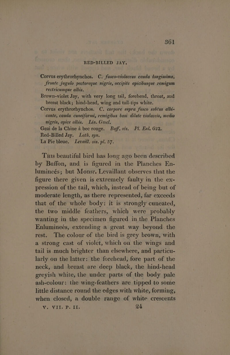 861 RED-BILLED JAY. Corvus erythrorhynchos. C. fuseo-violaceus cauda dongissima, Sronte jugulo pectoreque nigris, occipite apicibusque remigum rectricumque albis. ° Brown-violet Jay, with very long tail, forehead, throat, and breast black; hind-head, wing and tail-tips white. Corvus erythrorhynchos. C. corpore supra fusco subtus albi- cante, cauda cuneiformi, remigibus basi dilute violaceis, medio nigris, apice allis. Lin. Gmel. Geai de la Chine a bec rouge. Buff. ots. Pl. Enl. 622, Red-Billed Jay. Lath, syn. } La Pie bleue. Levaill. ois. pl. 57. Tuts beautiful bird has long ago been described by Buffon, and is figured in the Planches En- lumineés; but Monsr. Levaillant observes that the figure there given is extremely faulty in the ex- pression of the tail, which, instead of being but of moderate length, as there represented, far exceeds that of the whole body: it is strongly cuneated, the two middle feathers, which were probably wanting in the specimen figured in the Planches Enlumineés, extending a great way beyond the rest. The colour of the bird is grey brown, with a strong cast of violet, which on the wings and tail is much brighter than elsewhere, and particu- larly on the latter: the forehead, fore part of the neck, and breast are deep black, the hind-head greyish white, the under parts of the body pale ash-colour: the wing-feathers are tipped to some little distance round the edges with white, forming, when closed, a double range of white crescents Wes VIE Facts 24,