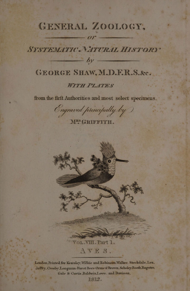 GENERAL ZOOLOGY, OF by GEORGE SHAW, M.D.ER.S.&amp;c.. WITH LLATES from the firft Authorities ‘iid most select eae’ O b eam eee yully yy oy : M® GRIFFITH. . | AVES. London, Printed for Kearslev, Willie ana Robiniitin Waller, Stockdale, Lea, Gale &amp; Curtis Baldwin,Lowe, and Davison, to 1812.