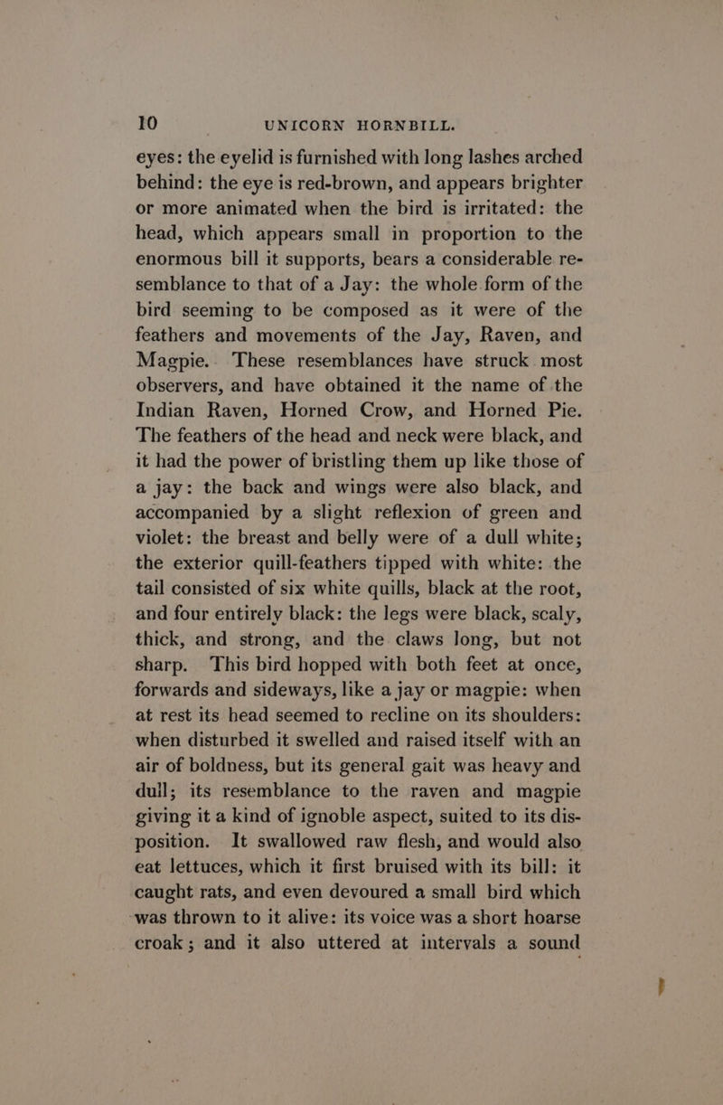 eyes: the eyelid is furnished with long lashes arched behind: the eye is red-brown, and appears brighter or more animated when the bird is irritated: the head, which appears small in proportion to the enormous bill it supports, bears a considerable re- semblance to that of a Jay: the whole form of the bird seeming to be composed as it were of the feathers and movements of the Jay, Raven, and Magpie.. These resemblances have struck most observers, and have obtained it the name of the Indian Raven, Horned Crow, and Horned Pie. The feathers of the head and neck were black, and it had the power of bristling them up like those of a jay: the back and wings were also black, and accompanied by a slight reflexion of green and violet: the breast and belly were of a dull white; the exterior quill-feathers tipped with white: the tail consisted of six white quills, black at the root, and four entirely black: the legs were black, scaly, thick, and strong, and the claws long, but not sharp. This bird hopped with both feet at once, forwards and sideways, like a jay or magpie: when at rest its head seemed to recline on its shoulders: when disturbed it swelled and raised itself with an air of boldness, but its general gait was heavy and duil; its resemblance to the raven and magpie giving it a kind of ignoble aspect, suited to its dis- position. It swallowed raw flesh, and would also eat lettuces, which it first bruised with its bill: it caught rats, and even devoured a small bird which was thrown to it alive: its voice was a short hoarse croak ; and it also uttered at intervals a sound