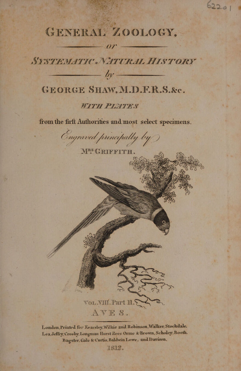 = SYSTEMATIC NATURAL HIS TORY ‘: GEORGE SHAW, ALD.FRB.S.&amp;c. WITH PLATES from the firft Authorities and most select specimens. f) : 3 Were C 906 pened WACIUT, ey ie fo 4) BA bas Grirrirn. asia Vou. VII, Part IQ, London,Printed for Kearsley, Wilkie and. Robinson, Walker, Stockdale, Lea, Jeffry, Crosby, Longman Hurst Rees Orme &amp; Brown, Scholey, Booth. Bag ster, Gale &amp; Curtis, Baldwin Lowe, and Davison, 1812.