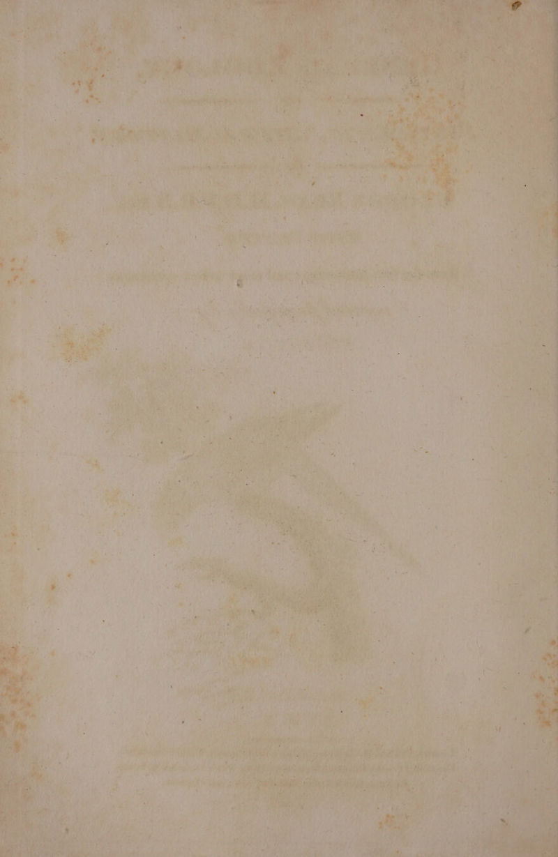 ‘ hs A) a oe. ie Tapig ay. ns es Parry ha &amp; pte aoe GER 2 ‘vn 4 ’ ; ; y .