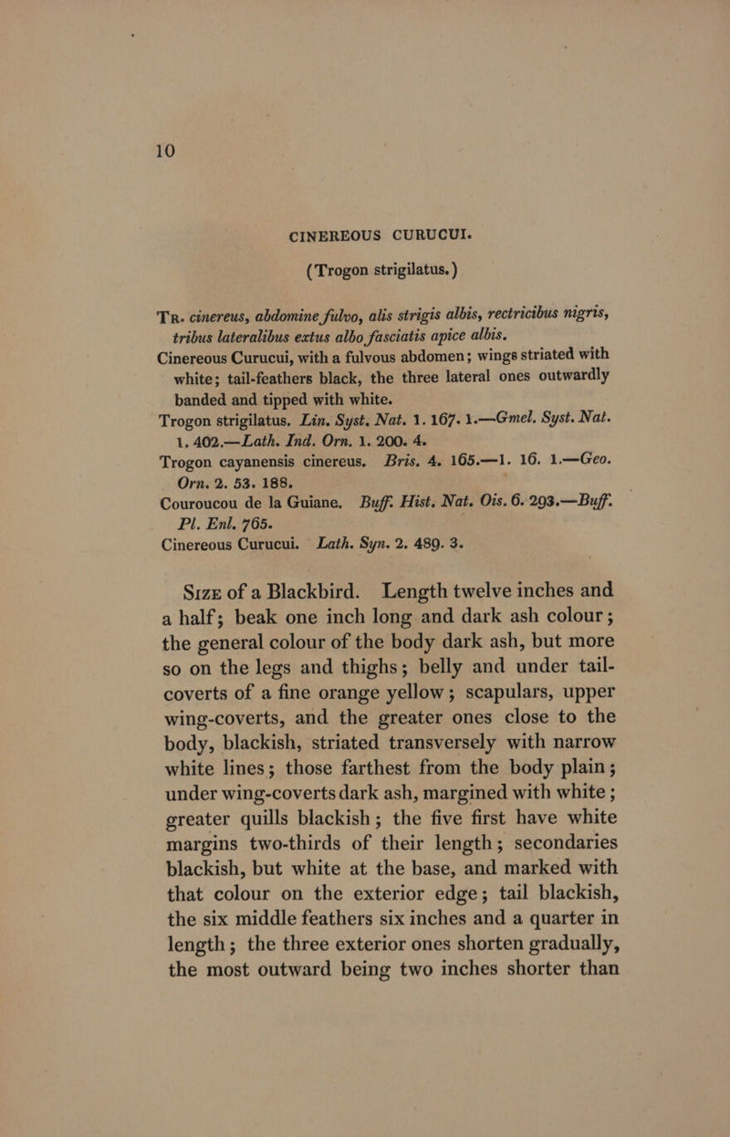 10 CINEREOUS CURUCUI. ( Trogon strigilatus. ) Tr. cinereus, abdomine fulvo, alis strigis albis, rectricibus nigris, tribus lateralibus extus albo fasciatis apice albis. Cinereous Curucui, with a fulvous abdomen; wings striated with white; tail-feathers black, the three lateral ones outwardly banded and tipped with white. Trogon strigilatus. Lin. Syst. Nat. 1. 167. 1.—Gmel. Syst. Nat. 1. 402.—Lath. Ind. Orn. 1. 200. 4- Trogon cayanensis cinereus. Bris, 4. 165.—1. 16. 1.—Geo. _ Orn, 2. 53. 188. Couroucou de la Guiane. Buff: Hist. Nat. Ois. 6. 293.—Buff. Pl. Enl. 765. Cinereous Curucui. Lath. Syn. 2. 489. 3. Size of a Blackbird. Length twelve inches and a half; beak one inch long and dark ash colour ; the general colour of the body dark ash, but more so on the legs and thighs; belly and under tail- coverts of a fine orange yellow; scapulars, upper wing-coverts, and the greater ones close to the body, blackish, striated transversely with narrow white lines; those farthest from the body plain; under wing-coverts dark ash, margined with white ; greater quills blackish ; the five first have white margins two-thirds of (ieee length; secondaries blackish, but white at the base, and marked with that colour on the exterior edge; tail blackish, the six middle feathers six inches and a quarter in length; the three exterior ones shorten gradually, the most outward being two inches shorter than