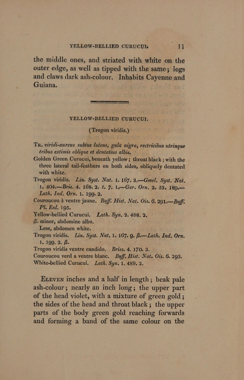 the middle ones, and striated with white on the outer edge, as well as tipped with the same; legs and claws dark ash-colour. Inhabits Cayenne and Guiana. | | YELLOW-BELLIED CURUCUI. ance eros TR. viridi-aureus subtus luteus, sith nigra, rectricibus utringue tribus extimis oblique et dentatius albis. - three lateral tail-feathers on both sides, obliquely dentated with white. . Trogon viridis. Lin. Syst. Nat. 1. 167. 3.—Gmel, Syst.’ Nat 1, 404,—Bris. 4. 108.2. t. 7. 1o—Ger. Orn. 2. 53. 1890.— Lath. Ind. Orn. 1. 199. 2. Couroucou a ventre jaune. Buff: Hist. Nat. Ois. 6. 291.— Buff. Pl. Enl. 195. Yellow-bellied Curucui. Lath. Syn. 2. 488, 2 8. minor, abdomine albo, | _ Less, abdomen white. Trogon viridis. Lin. Syst. Nat. 1. 167. 9. B.—Lath. Ind, Orn. 1. 199. 2. B. Trogon viridis ventre candido, Briss. 4. 170. 3. Couroucou verd a ventre blanc. Buff. Hist. Nat. Ois. 6. 293. White-bellied Curucui. Lath. Syn. 1. 489. 2 ELEvEN inches and a half in length; beak pale ash-colour; nearly an inch long; the upper part of the head violet, with a mixture of green gold; the sides of the head and throat black; the upper parts of the body green gold reaching forwards and forming a band of the same colour on the