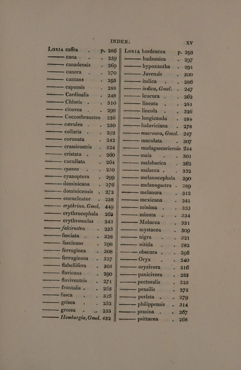 Loxia caffra, Pp. 286 cana ° ~ 259 ——- canadensis « 269 canora , » 270 —— cantans ~ 205 ——. capensis 288 ‘Cardinalis - 248 Chloris . . 310 —— cinerea + 208 Coccothraustes 236 cerulea - 250 — collaria . e 9292 —— coronata - 242 crassirostris 324 ——— cristata . 260 —— cucullata G4 cyanea , 250 ——— cyanoptera » 299 dominicana . 276 -dominicensis . 273 —eneucleator . 238 erythrina. Gmel, 449 ——— erythrocephala _ 263 ——— erythromelas 243 —— falcirostra ae cs fasciata oA 28 fascinans . 2098 ferruginea - 308 ———ferruginosa. . 327 flabellifera « 305 flavicans . 200 flaviventris . 271 frontalis . «265 fusca ; 323 —— grisea . 252 grossa wg 253 Loxta hordeacea —— hudsonica : hypoxantha Javensis indica. indica, Gmel. leucura lineata. lineola . - longicauda ludoviciana maculata maia : malabarica malacca . ——— melanura —— mexicana minima , minuta . —— Molucca mystacea nigra - — nitida —— obscura , Oryziv 9... oryzivora panicivora pectoralis — pensilis —— perlata . — — philippensis ——— prasina . ————. psittacea s .