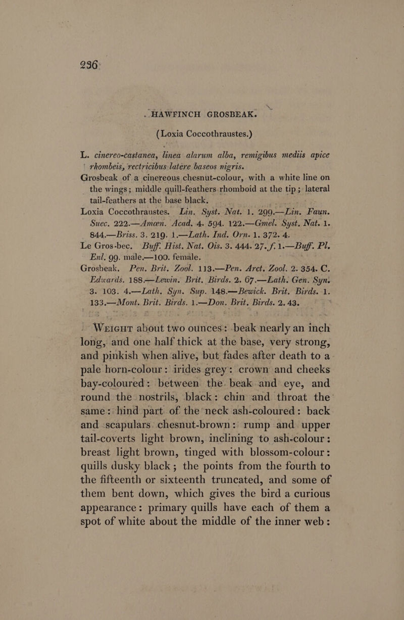 036: . HAWFINCH GROSBEAK. (Loxia Coccothraustes.) L. cinereo-castanea, linea alarum alba, remigibus mediis apice ' rhombeis, rectricibus lutere baseos nigris. Grosbeak of a cinereous chesnut-colour, with a white line on the wings; middle quill-feathers. rhomboid at the ups! lateral tail-feathers at the base black. Loxia Coccothraustes. Lin. Syst. Nat. 1. 290. be os Faun. Suec. 222.—Ameen. Acad. 4. 594. 122.—Gmel. Syst. Nat. 1. 844.—Briss. 3.219. 1.—Lath. Ind. Orn. 1. 372. 4. Le Gros-bec. Buff: Hist. Nat. Ois. 3. 444. 27. f.1. Pe Pi, Enl, 99. male.—100. female. Grosbeak, Pen. Brit. Zool. 113.—Pen. Arct. Zool. 2. 354. C. Edwards. 188 —Lewin. Brit. Birds. 2. 67.—Lath. Gen. Syn. 3. 103. 4.—Lath. Syn. Sup. 148.—Bewick. Brit. Birds. 1. 133.—Mont. Brit. Birds. 1.—Don. Brit, Birds. 2. 43. Weicut about two ounces: beak nearly an inch long, and one half thick at the base, very strong, and pinkish when alive, but fades after death to a pale horn-colour: irides grey: crown and cheeks bay-coloured: between the. beak and eye, and round the nostrils, black: chin and throat the same: hind part. of the neck ash-coloured: back and :scapulars. chesnut-brown:' rump and. upper tail-coverts light brown, inclining to ash-colour: breast light brown, tinged with blossom-colour : quills dusky black; the points from the fourth to the fifteenth or sixteenth truncated, and some of them bent down, which gives the bird a curious appearance: primary quills have each of them a spot of white about the middle of the inner web: