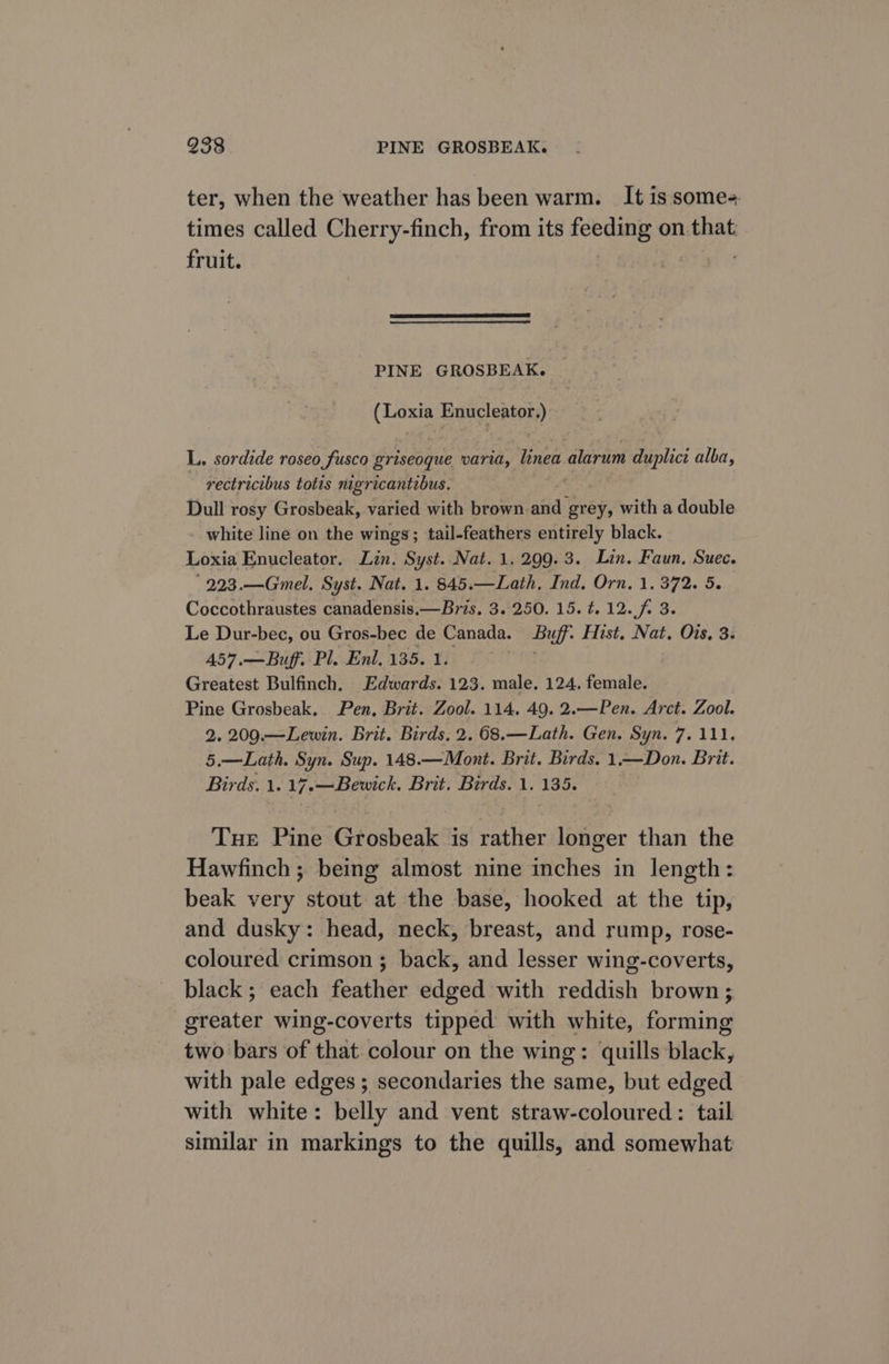 ter, when the weather has been warm. It is some+ times called Cherry-finch, from its feeding on that: fruit. PINE GROSBEAK. (Loxia Enucleator.) L. sordide roseo fusco griseoque varia, linea alarum duplict alba, ~ rectricibus totis nigricantibus. Dull rosy Grosbeak, varied with brown and grey, with a double white line on the wings; tail-feathers entirely black. Loxia Enucleator. Lin. Syst. Nat. 1. 299.3. Lin. Faun, Suec. 223.—Gmel. Syst. Nat. 1. 845.—Lath, Ind. Orn. 1. 372. 5. Coccothraustes canadensis.—Bris. 3. 250. 15.t.12.f. 3. Le Dur-bec, ou Gros-bec de Canada. Buff. Hist, Nat. Ois. 3 457.—Buff. Pl. Enl. 135. 1. | Greatest Bulfinch. Edwards. 123. male, 124. female. Pine Grosbeak, Pen, Brit. Zool. 114. 49. 2.—Pen. Arct. Zool. 2. 209.—Lewin. Brit. Birds. 2. 68.—Lath. Gen. Syn. 7. 111. 5.—Lath. Syn. Sup. 148.—Mont. Brit. Birds. 1.—Don. Brit. Birds. 1. 17.—Bewick. Brit. Birds. 1. 135. Tue Pine Grosbeak is rather longer than the Hawfinch ; being almost nine inches in length: beak very stout at the base, hooked at the tip, and dusky: head, neck, breast, and rump, rose- coloured crimson ; back, and lesser wing-coverts, black ; each feather edged with reddish brown; greater wing-coverts tipped with white, forming two bars of that colour on the wing: quills black, with pale edges ; secondaries the same, but edged with white: belly and vent straw-coloured: tail similar in markings to the quills, and somewhat