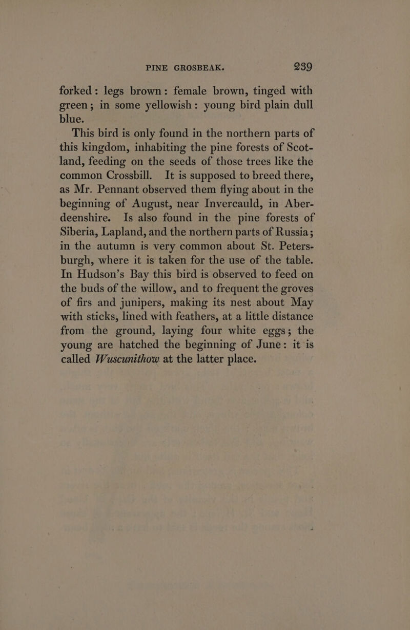 forked: legs brown: female brown, tinged with green; in some yellowish: young bird plain dull blue. This bird is only found in the northern parts of this kingdom, inhabiting the pine forests of Scot- land, feeding on the seeds of those trees like the common Crossbill. It is supposed to breed there, as Mr. Pennant observed them flying about in the beginning of August, near Invercauld, in Aber- deenshire. Is also found in the pine forests of Siberia, Lapland, and the northern parts of Russia; in the autumn is very common about St. Peters- burgh, where it is taken for the use of the table. In Hudson’s Bay this bird is observed to feed on the buds of the willow, and to frequent the groves of firs and junipers, making its nest about May with sticks, lined with feathers, at a little distance from the ground, laying four white eggs; the young are hatched the beginning of June: it is called Wuscunithow at the latter place.