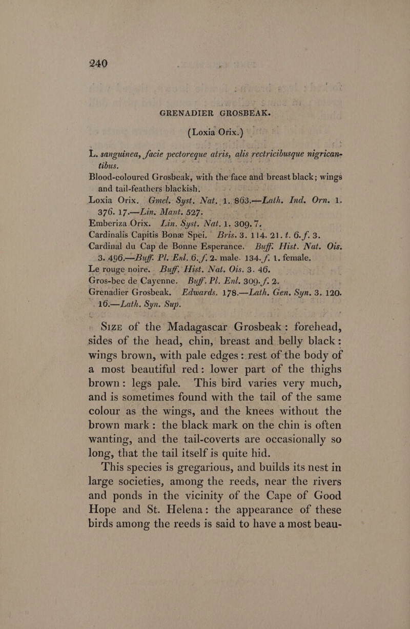 GRENADIER GROSBEAK. (Loxia Orix.) i, sanguinea, facie pectoreque atris, alts rectrictbusque nigrican- tibus. Blood-coloured Grosbeak, with the face and breast black; wings and tail-feathers blackish, Loxia Orix. Gmel. Syst. Nat. 1. 803, ai. Ind, Orn. 1. 376. 17.—Lin. Mant. 527. Emberiza Orix. Lin. Syst. Nat. 1. 309. fi Cardinalis Capitis Bonz Spei. Bris. 3.114. 21.1.6. f. 3. Cardinal du Cap de Bonne Esperance. Buff: Hist. Nat. Ois. 3..496.—Buf. Pl. Enl. 6. f. 2. male. 134. f. 1. female. Le rouge noire. Buff. Hist. Nat. Ois. 3. 46. Gros-bec de Cayenne. Buff. Pl. Enl. 309.f. 2. Grenadier Grosbeak. Edwards. 178.—Lath. Gen. Syn. 3, 120. -16.—Lath. Syn. Sup. Size of the Madagascar Grosbeak : Eihical: sides of the head, chin, breast and belly black : wings brown, with pale edges: rest of the body of a most beautiful red: lower part of the thighs brown: legs pale. ‘This bird varies very much, and is sometimes found with the tail of the same colour as the wings, and the knees without the brown mark: the black mark on the chin is often wanting, and the tail-coverts are occasionally so long, that the tail itself is quite hid. This species is gregarious, and builds its nest in large societies, among the reeds, near the rivers and ponds in the vicinity of the Cape of Good Hope and St. Helena: the appearance of these birds among the reeds is said to have a most beau-