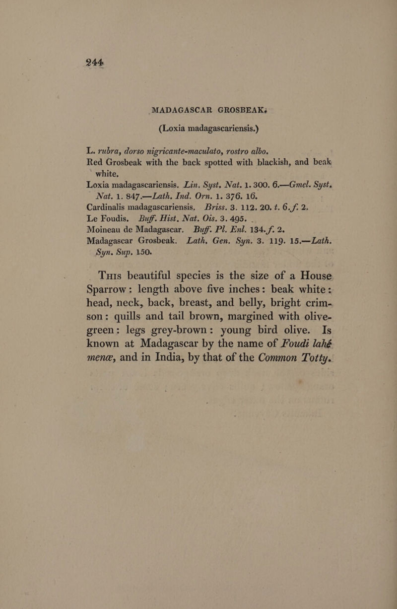 MADAGASCAR GROSBEAK¢ (Loxia madagascariensis.) L. rubra, dorso nigricante-maculato, rostro albo. Red Grosbeak with the back spotted with blackish, and beak ' white. Loxia madagascariensis. Lin. Syst. Nat. 1.300. 6.—Gmel. Syst. Nat. 1. 847.—Lath. Ind. Orn. 1. 376. 16. Cardinalis madagascariensis. Briss, 3. 112. 20. t. 6.f. 2. Le Foudis. Buff. Hist, Nat. Ows. 3.495. - Moineau de Madagascar. Buff. Pl. Enl. 134./f. 2. Madagascar Grosbeak. Lath. Gen. Syn. 3. 119. 15.—Lath. Syn. Sup. 150. Tuts beautiful species is the size of a House Sparrow: length above five inches: beak white: head, neck, back, breast, and belly, bright crim- son: quills and tail brown, margined with olive- green: legs grey-brown: young bird olive. Is known at Madagascar by the name of Foudi lahé mene, and in India, by that of the Common Totty.