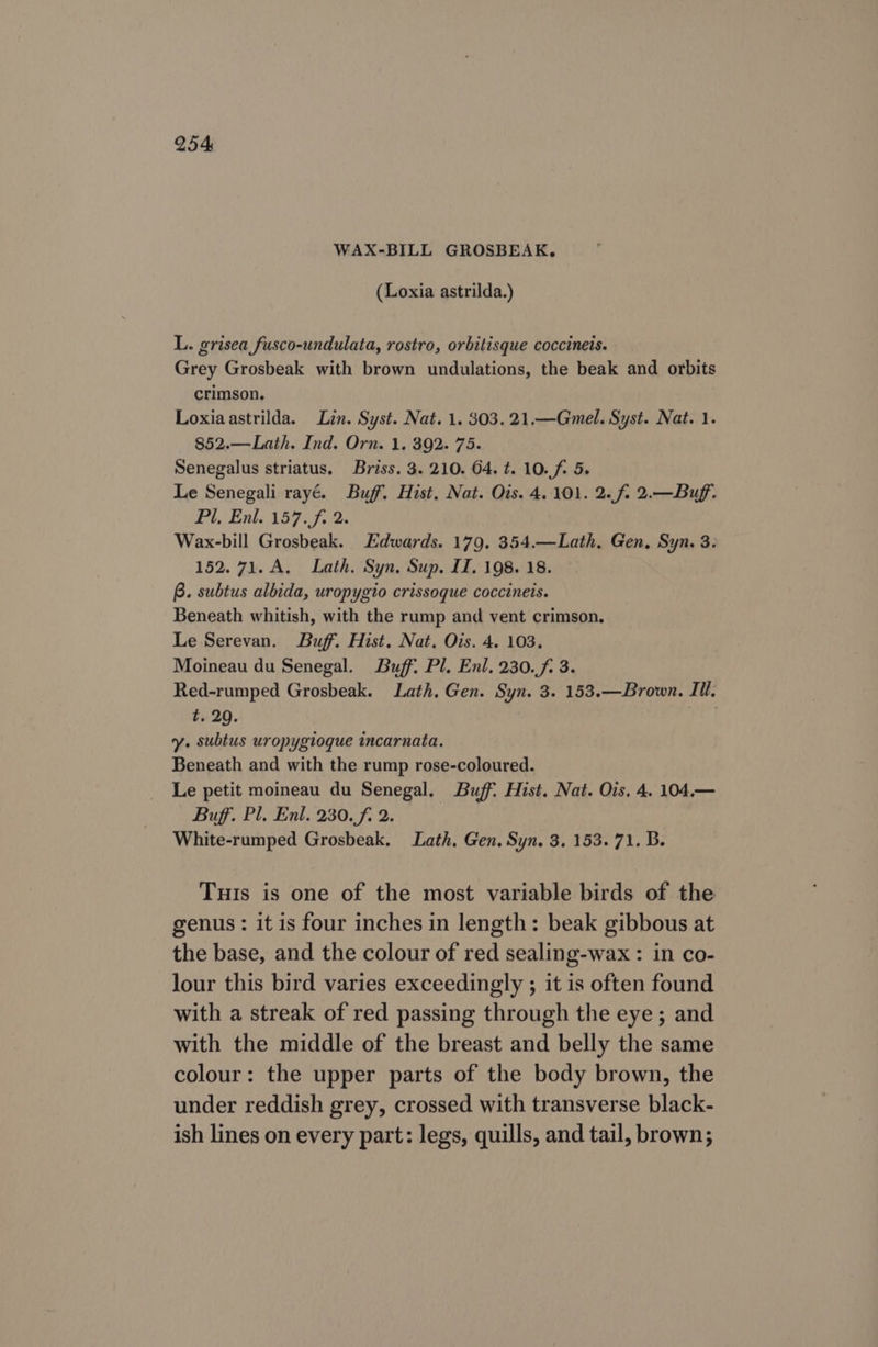 254: WAX-BILL GROSBEAK,. (Loxia astrilda.) L. grisea fusco-undulata, rostro, orbitisque coccineis. Grey Grosbeak with brown undulations, the beak and orbits crimson. Loxiaastrilda. Lin. Syst. Nat. 1. 303. 21.—Gmel. Syst. Nat. 1. 852.—Lath. Ind. Orn. 1. 392. 75. Senegalus striatus. Briss. 3. 210. 64. ¢. 10. f. 5. Le Senegali rayé. Buff. Hist. Nat. Ois. 4.101. 2.f. 2.—Buff. Pl, Enl. 157. f. 2. Wax-bill Grosbeak. Edwards. 179. 354.—Lath. Gen, Syn. 3. 152. 71. A. Lath. Syn, Sup. II. 198. 18. B. subtus albida, uropygio crissoque coccineis. Beneath whitish, with the rump and vent crimson. Le Serevan. Buff. Hist. Nat. Ois. 4. 103. Moineau du Senegal. Buff: Pl. Enl, 230.7. 3. Red-rumped Grosbeak. Lath, Gen. Syn. 3. 153.—Brown. Ill, t. 29. hig y. subtus uropygiogue incarnata. Beneath and with the rump rose-coloured. Le petit moineau du Senegal. Buff. Hist. Nat. Ois. 4. 104.— Buff. Pl. Enl. 230. f. 2. White-rumped Grosbeak. Lath. Gen. Syn. 3. 153. 71. B. Tuts is one of the most variable birds of the genus: it is four inches in length: beak gibbous at the base, and the colour of red sealing-wax : in co- lour this bird varies exceedingly ; it is often found with a streak of red passing through the eye ; and with the middle of the breast and belly the same colour: the upper parts of the body brown, the under reddish grey, crossed with transverse black- ish lines on every part: legs, quills, and tail, brown;