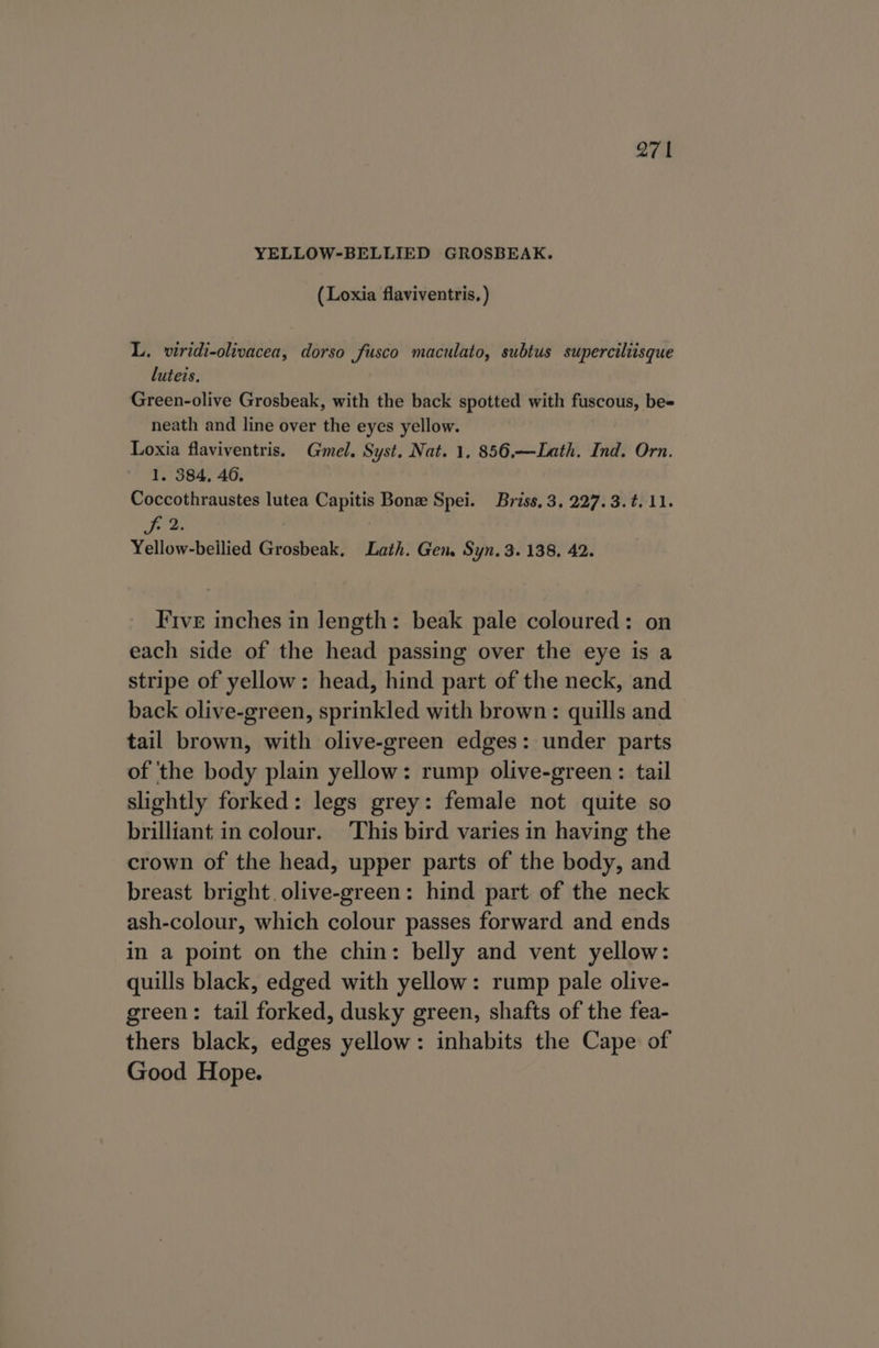 27 | YELLOW-BELLIED GROSBEAK. (Loxia flaviventris, ) L. viridi-olivacea, dorso fusco maculato, subtus superciliisque luteis. Green-olive Grosbeak, with the back spotted with fuscous, be- neath and line over the eyes yellow. Loxia flaviventris. Gmel. Syst. Nat. 1, 856.—Lath. Ind. Orn. 1, 384, 46. Coccothraustes lutea Capitis Bone Spei. Briss. 3, 227.3.t. 11. fi 2. Yellow-beilied Grosbeak, Lath. Gen. Syn. 3. 138, 42. Five inches in length: beak pale coloured: on each side of the head passing over the eye is a stripe of yellow: head, hind part of the neck, and back olive-green, sprinkled with brown: quills and tail brown, with olive-green edges: under parts of the body plain yellow: rump olive-green : tail slightly forked: legs grey: female not quite so brilliant in colour. This bird varies in having the crown of the head, upper parts of the body, and breast bright. olive-green: hind part of the neck ash-colour, which colour passes forward and ends in a point on the chin: belly and vent yellow: quills black, edged with yellow: rump pale olive- green: tail forked, dusky green, shafts of the fea- thers black, edges yellow: inhabits the Cape of Good Hope.