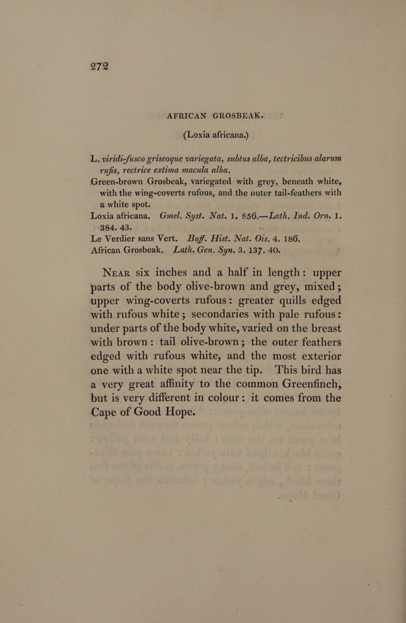 AFRICAN GROSBEAK. _(Loxia africana.) | L. viridi-fusco griseoque variegata, subtus alba, tectricibus alarum rufis, rectrice exttma macula alba, Green-brown Grosbeak, variegated with grey, beneath white, with the wing-coverts rufous, and the outer tail-feathers with a white spot. Loxia africana. Gmel. Syst. Nat. 1. 856.—Lath. Ind. Orn. 1. 384. 43. : Le Verdier sans Vert. Buff. Hist. Nat. Ois. 4. 186. African Grosbeak, Lath. Gen. Syn. 3. 137. 40. Near six inches and a half in length: upper parts of the body olive-brown and grey, mixed ; upper wing-coverts rufous: greater quills edged with rufous white ; secondaries with pale rufous: under parts of the body white, varied on the breast with brown: tail olive-brown; the outer feathers edged with rufous white, and the most exterior one with a white spot near the tip. This bird has a very great affinity to the common Greenfinch, but is very different in colour: it comes from the Cape of Good Hope.