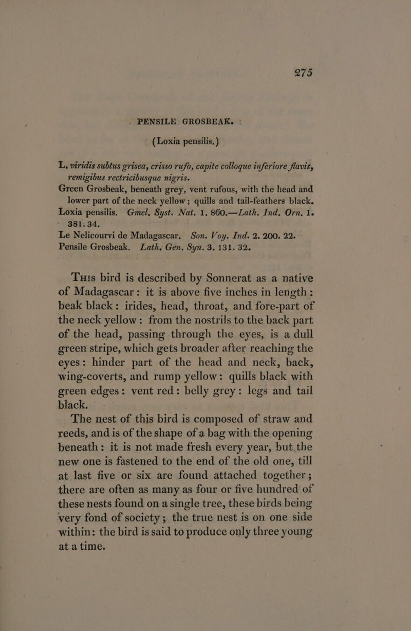 . PENSILE GROSBEAK. : _ (Loxia pensilis.) L. viridis subtus grisea, crisso rufo, capite colloque inferiore flavis, remigibus rectricibusque nigris. | Green Grosbeak, beneath grey, vent rufous, with the head and lower part of the neck yellow; quills and tail-feathers black. Loxia pensilis. Gmel, Syst. Nat. 1. 860.—Lath. Ind. Orn, 1. 381.34. . Le Nelicourvi de Madagascar. Son. Voy. Ind. 2. 200. 22. - Pensile Grosbeak. Lath, Gen. Syn. 3, 131. 32. Tus bird is described by Sonnerat as a native of Madagascar: it is above five inches in length: beak black: irides, head, throat, and fore-part of the neck yellow: from the nostrils to the back part of the head, passing through the eyes, is a dull green stripe, which gets broader after reaching the eyes: hinder part of the head and neck, back, wing-coverts, and rump yellow: quills black with green edges: vent red: belly grey: legs and tail black. The nest of this bird is composed of straw and reeds, and is of the shape of a bag with the opening beneath: it is not made fresh every year, but the new one is fastened to the end of the old one, till at last five or six are found attached together ; there are often as many as four or five hundred of these nests found on a single tree, these birds being very fond of society ; the true nest is on one side within: the bird is said to produce only three young at a time.