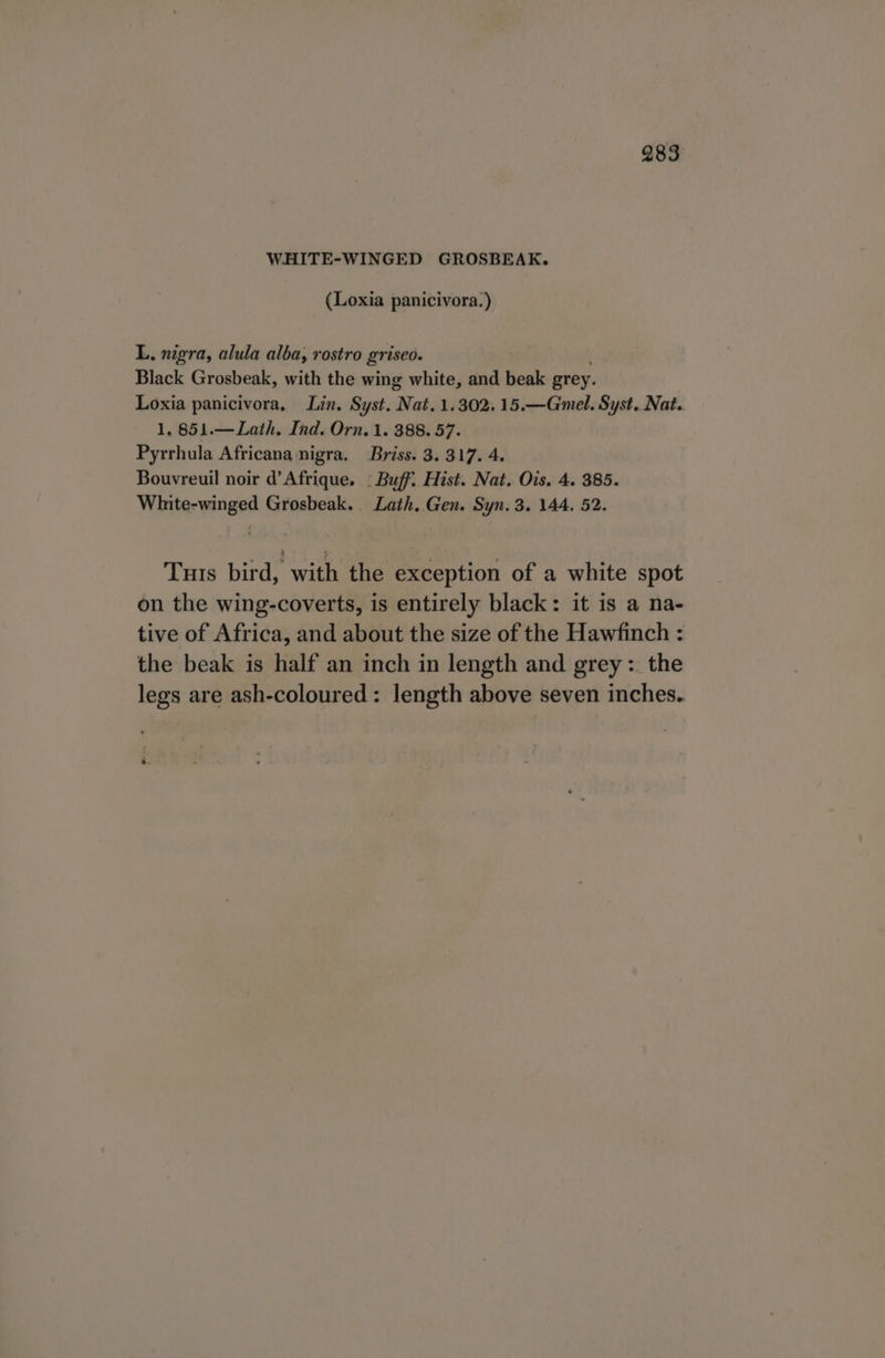 WHITE-WINGED GROSBEAK. (Loxia panicivora.) L, nigra, alula alba, rostro griseo. Black Grosbeak, with the wing white, and beak grey. Loxia panicivora, Lin. Syst. Nat. 1.302. 15.—Gmel. Syst, Nat. 1, 851.— Lath. Ind. Orn. 1. 388. 57. Pyrrhula Africana nigra. Briss. 3. 317. 4. Bouvreuil noir d’Afrique. | Buff. Hist. Nat. Ois. 4. 385. Whnite-winged Grosbeak. Lath, Gen. Syn. 3. 144. 52. Tuis bird, with the exception of a white spot on the wing-coverts, is entirely black: it is a na- tive of Africa, and about the size of the Hawfinch : the beak is half an inch in length and grey: the legs are ash-coloured: length above seven inches..
