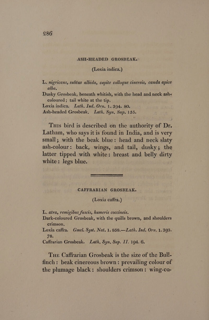 ASH-HEADED GROSBEAK.: (Loxia indica.) L. nigricans, subtus albida, capite colloque cinereis, cauda apice alba. Dusky Grosbeak, beneath whitish, with the head and neck ash- coloured ; tail white at the tip. Loxia indica. Lath. Ind..Orn. 1.394. 80. Ash-headed Grosbeak, Lath. Syn, Sup. 155. Tuts bird is described on the authority of Dr. Latham, who says it is found in India, and is very small; with the beak blue: head and neck slaty ash-colour: back, wings, and tail, dusky; the latter tipped with white: breast and belly dirty white: legs blue. CAFFRARIAN GROSBEAK. (Loxia caffra.) L. atra, remigibus fuscis, humeris coccinets. Dark-coloured Grosbeak, with the quills brown, and shoulders crimson, Loxia caffra. Gmel. Syst. Nat. 1. 858.—Lath. Ind. Orn, 1.393. 78. Caffrarian Grosbeak. Lath, Syn, Sup. II. 194. 6. Tue Caffrarian Grosbeak is the size of the Bull- finch: beak cinereous brown: prevailing colour of the plumage black: shoulders crimson: wing-co-