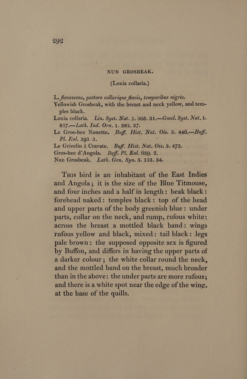 NUN GROSBEAK. (Loxia collaria.) L. flavescens, pectore collarique flavis, temporibus nigris. Yellowish Grosbeak, with the breast and neck yellow, and tem- ples black. Loxia collaria. Lin. Syst. Nat. 1. 305. 31.—Gmel. Syst. Nat, 1. 857.—Lath. Ind. Orn, 1. 382. 37. Le Gros-bec Nonette. Buff. Hist, Nat. Ovs. 3. 446.—Buff. Pl. Enl. 393. 3. if Le Grivelin a Cravate, Buff. Hist. Nat. Ois. 3. 473. Gros-bec d’Angola. Buff: Pl. Enl. 659. 2. Nun Grosbeak. Lath. Gen. Syn. 3. 133. 34. Tuis bird is an inhabitant of the East Indies and Angola; it is the size of the Blue Titmouse, and four inches and a half in length: beak black : forehead naked: temples black: top of the head and upper parts of the body greenish blue: under parts, collar on the neck, and rump, rufous white: across the breast a mottled black band: wings rufous yellow and black, mixed: tail black: legs pale brown: the supposed opposite sex is figured by Buffon, and differs in having the upper parts of a darker colour; the white collar round the neck, and the mottled band on the breast, much broader than in the above: the under parts are more rufous; and there is a white spot near the edge of the wing, at the base of the quills.