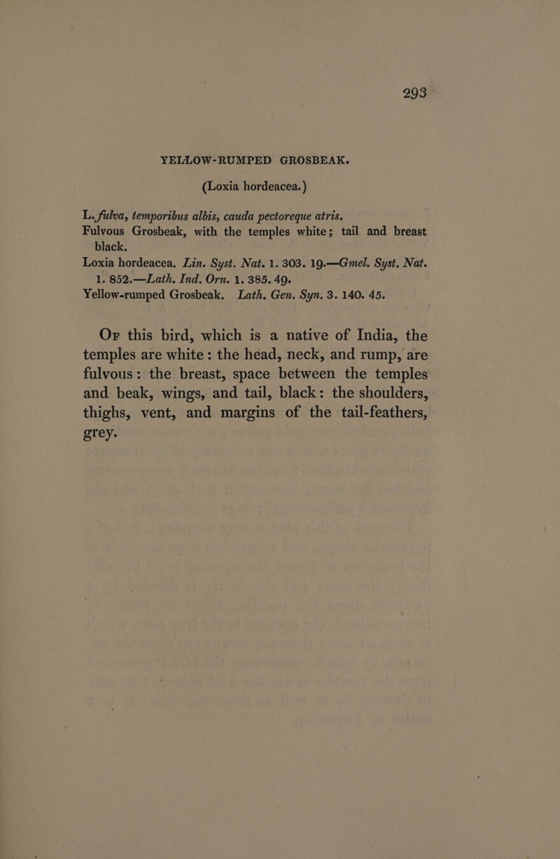 YELLOW-RUMPED GROSBEAK. (Loxia hordeacea. ) L. fulva, temporibus albis, cauda pectoreque atris. Fulvous Grosbeak, with the temples white; tail and breast black. : Loxia hordeacea, Lin. Syst. Nat. 1. 303. 19.—Gmel. Syst. Nat. 1. 852.—Lath. Ind. Orn. 1. 385. 49. Yellow-rumped Grosbeak. Lath. Gen. Syn. 3. 140. 45. Or this bird, which is a native of India, the temples are white: the head, neck, and rump, are fulvous: the breast, space between the temples and beak, wings, and tail, black: the shoulders, thighs, vent, and margins of the tail-feathers, grey.