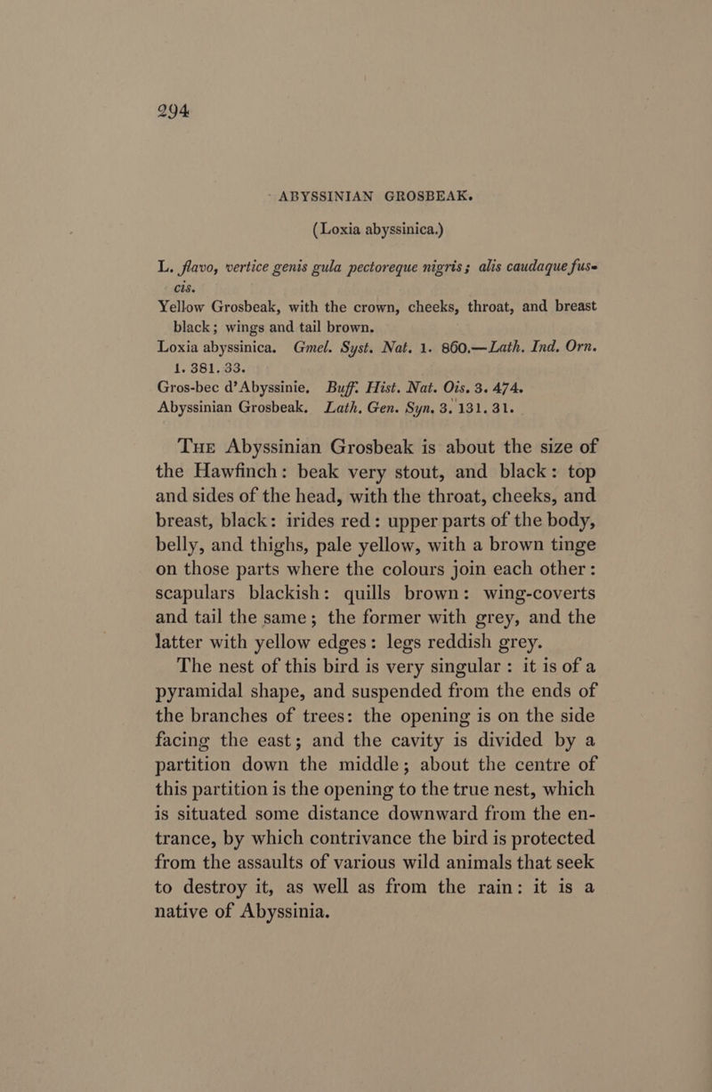 ‘ ABYSSINIAN GROSBEAK. (Loxia abyssinica.) L. flavo, vertice genis gula pectoreque nigris; alis caudaque fuse cls. Yellow Grosbeak, with the crown, cheeks, throat, and breast black; wings and tail brown. Loxia abyssinica. Gmel. Syst. Nat. 1. 860.—Lath. Ind. Orn. 1. 381. 33. Gros-bec d’Abyssinie. Buff. Hist. Nat. Ois. 3. 474. Abyssinian Grosbeak. Lath. Gen. Syn. 3.131. 31. Tue Abyssinian Grosbeak is about the size of the Hawfinch: beak very stout, and black: top and sides of the head, with the throat, cheeks, and breast, black: irides red: upper parts of the body, belly, and thighs, pale yellow, with a brown tinge on those parts where the colours join each other : scapulars blackish: quills brown: wing-coverts and tail the same; the former with grey, and the latter with yellow edges: legs reddish grey. The nest of this bird is very singular : it is of a pyramidal shape, and suspended from the ends of the branches of trees: the opening is on the side facing the east; and the cavity is divided by a partition down the middle; about the centre of this partition is the opening to the true nest, which is situated some distance downward from the en- trance, by which contrivance the bird is protected from the assaults of various wild animals that seek to destroy it, as well as from the rain: it is a native of Abyssinia.