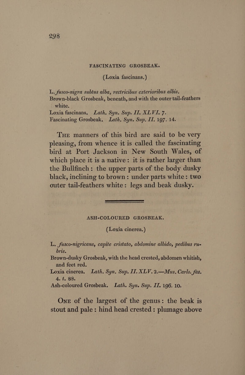 FASCINATING GROSBEAK. (Loxia fascinans. ) L. fusco-nigra subtus alba, rectricibus exterioribus albis, Brown-black Grosbeak, beneath, and with the outer tail-feathers white. Loxia fascinans. Lath. Syn. Sup. II. XLVI. 7. Fascinating Grosbeak. Lath, Syn. Sup. II. 197. 14. Tue manners of this bird are said to be very pleasing, from whence it is called the fascinating bird at Port Jackson in New South Wales, of which place it is a native: it is rather larger than the Bullfinch: the upper parts of the body dusky black, inclining to brown: under parts white : two outer tail-feathers white: legs and beak dusky. ASH-COLOURED GROSBEAK. (Loxia cinerea. ) L. fusco-nigricans, capite cristato, abdomine albido, pedibus ru- bris. Brown-dusky Grosbeak, with the head crested, abdomen whitish, and feet red. Loxia cinerea. Lath, Syn. Sup, IT. XLV. 2.—Mus. Carls. fas. 4. t. 88. Ash-coloured Grosbeak. Lath. Syn. Sup. II. 196. 10. One of the largest of the genus: the beak is stout and pale: hind head crested : plumage above