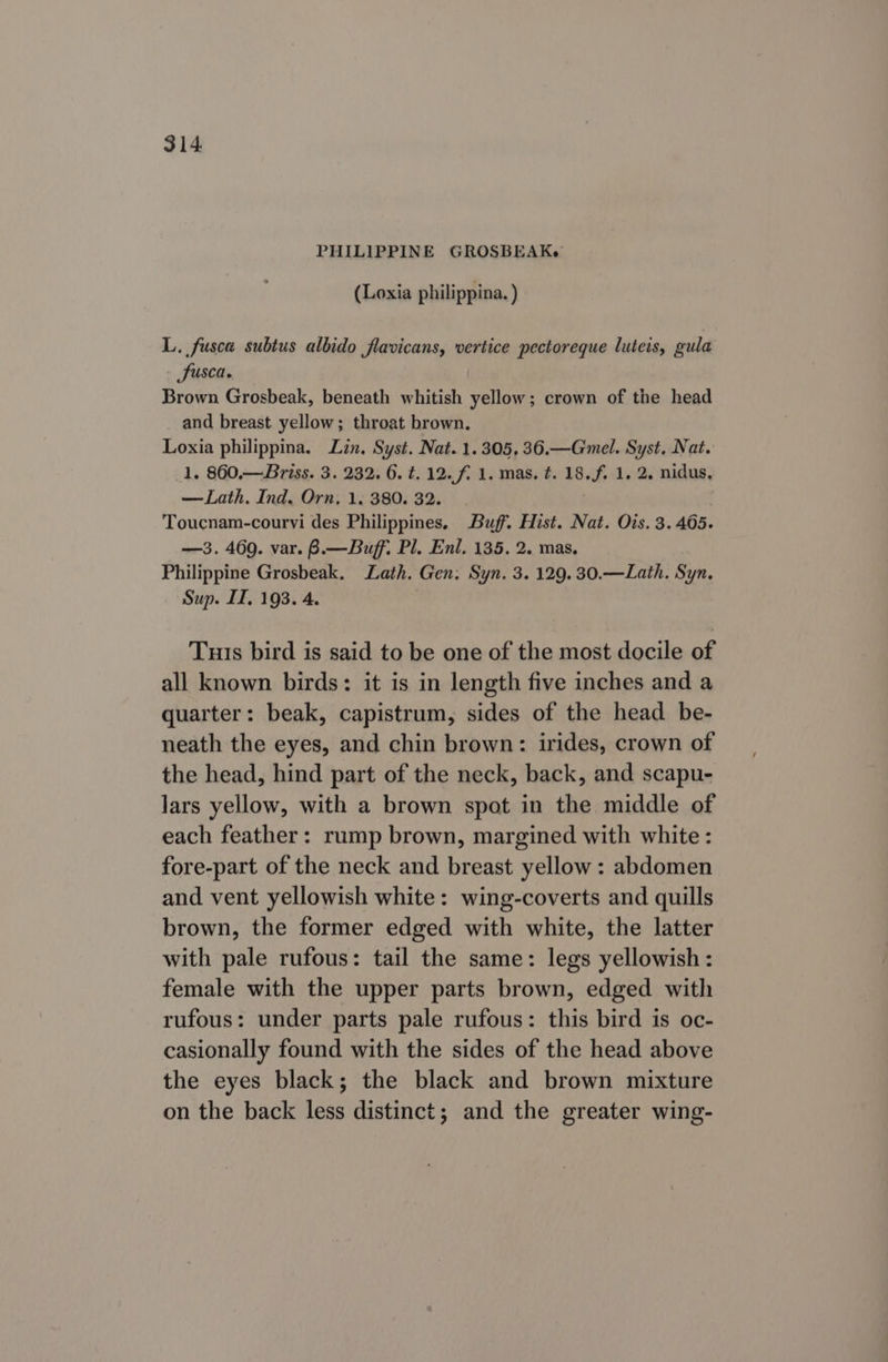 PHILIPPINE GROSBEAKe (Loxia philippina. ) L. fusca subtus albido flavicans, vertice pectoreque luteis, gula Susca. Brown Grosbeak, beneath whitish yellow; crown of the head and breast yellow; throat brown. Loxia philippina. Lin. Syst. Nat. 1.305, 36.—Gmel. Syst, Nat. 1. 860.— Briss. 3. 232. 6. t. 12. f. 1. mas. ¢. 18. Pk 1, 2. nidus, —Lath. Ind. Orn, 1. 380. 32. Toucnam-courvi des Philippines. Buff. Hist. Nat. Ois. 3.405. —3. 469. var. B.—Buff. Pl. Enl, 135. 2. mas, Philippine Grosbeak. Lath. Gen: Syn. 3. 129. 30.—Lath. Syn. Sup. I, 193. 4. Tuis bird is said to be one of the most docile of all known birds: it is in length five inches and a quarter: beak, capistrum, sides of the head be- neath the eyes, and chin brown: irides, crown of the head, hind part of the neck, back, and scapu- lars yellow, with a brown spot in the middle of each feather: rump brown, margined with white: fore-part of the neck and breast yellow: abdomen and vent yellowish white: wing-coverts and quills brown, the former edged with white, the latter with pale rufous: tail the same: legs yellowish: female with the upper parts brown, edged with rufous: under parts pale rufous: this bird is oc- casionally found with the sides of the head above the eyes black; the black and brown mixture on the back less distinct; and the greater wing-