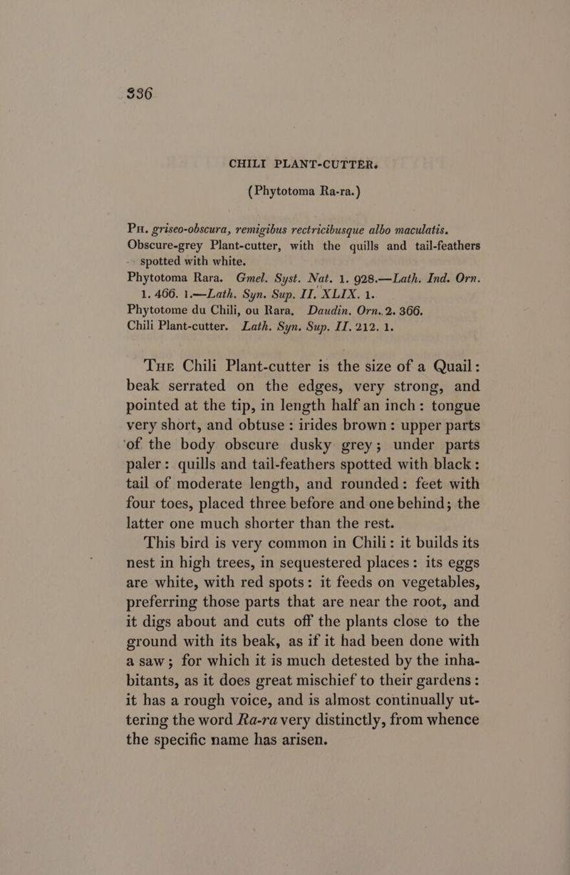 CHILI PLANT-CUTTER. (Phytotoma Ra-ra.) Pu. griseo-obscura, remigibus rectricibusque albo maculatis. Obscure-grey Plant-cutter, with the quills and tail-feathers -. spotted with white. Phytotoma Rara. Gmel. Syst. Nat. 1. 928.—Lath. Ind. Orn. 1. 466. 1.—Lath. Syn. Sup. II. XLIX. 1. Phytotome du Chili, ou Rara, Daudin. Orn.,2. 366. Chili Plant-cutter. Lath. Syn. Sup. II. 212.1. Tue Chili Plant-cutter is the size of a Quail: beak serrated on the edges, very strong, and pointed at the tip, in length half an inch: tongue very short, and obtuse : irides brown: upper parts ‘of the body obscure dusky grey; under parts paler: quills and tail-feathers spotted with black : tail of moderate length, and rounded: feet with four toes, placed three before and one behind; the latter one much shorter than the rest. This bird is very common in Chili: it builds its nest in high trees, in sequestered places: its eggs are white, with red spots: it feeds on vegetables, preferring those parts that are near the root, and it digs about and cuts off the plants close to the ground with its beak, as if it had been done with a saw; for which it is much detested by the inha- bitants, as it does great mischief to their gardens: it has a rough voice, and is almost continually ut- tering the word Ra-ra very distinctly, from whence the specific name has arisen.