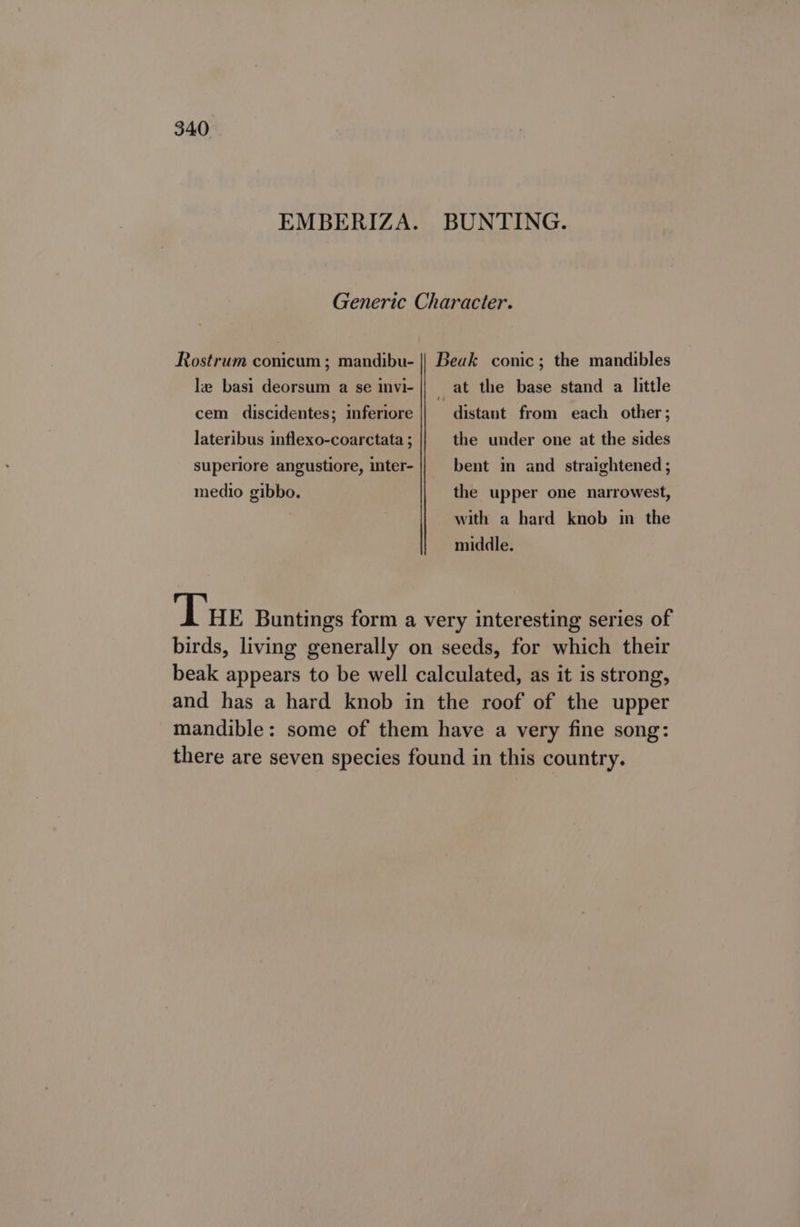 le basi deorsum a se invi- cem discidentes; inferiore lateribus inflexo-coarctata ; superiore angustiore, inter- medio gibbo. distant from each other; the under one at the sides bent in and straightened ; the upper one narrowest, with a hard knob in the middle.