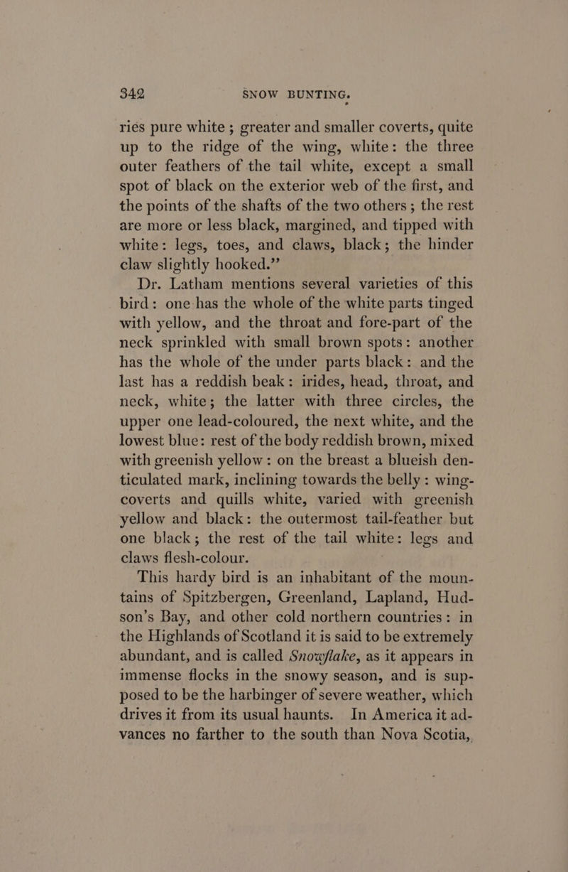ries pure white ; greater and smaller coverts, quite up to the rides a the wing, white: the three outer feathers ie the tail whites except a small spot of black on the exterior web of the first, and the points of the shafts of the two others ; the rest are more or less black, margined, and tipped with white: legs, toes, and claws, black; the hinder claw slightly hooked.” Dr. Latham mentions several varieties of this bird: one has the whole of the white parts tinged with yellow, and the throat and fore-part of the neck sprinkled with small brown spots: another has the whole of the under parts black: and the last has a reddish beak: irides, head, throat, and neck, white; the latter with three circles, the upper one lead-coloured, the next white, and the lowest blue: rest of the body reddish brown, mixed with greenish yellow: on the breast a blueish den- ticulated mark, inclining towards the belly : wing- coverts and quills white, varied with greenish yellow and black: the outermost tail-feather but one black; the rest of the tail white: legs and claws fer. colour. This hardy bird is an inhabitant of the moun- tains of Spitzbergen, Greenland, Lapland, Hud- son’s Bay, and other cold northern countries: in the Highlands of Scotland it is said to be extremely abundant, and is called Snowflake, as it appears in immense flocks in the snowy season, and is sup- posed to be the harbinger of severe weather, which drives it from its usual haunts. In America it ad- vances no farther to the south than Nova Scotia,