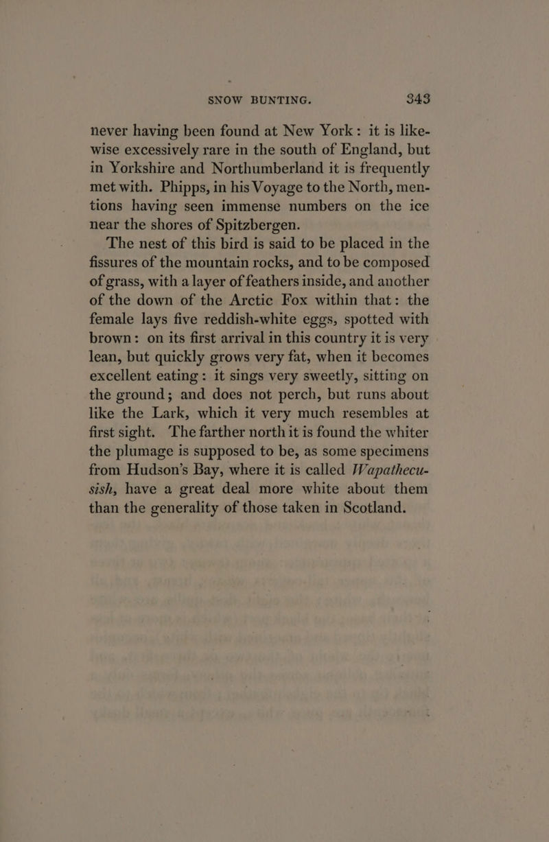 never having been found at New York: it is like- wise excessively rare in the south of England, but in Yorkshire and Northumberland it is frequently met with. Phipps, in his Voyage to the North, men- tions having seen immense numbers on the ice near the shores of Spitzbergen. The nest of this bird is said to be placed in the fissures of the mountain rocks, and to be composed of grass, with a layer of feathers inside, and another of the down of the Arctic Fox within that: the female lays five reddish-white eggs, spotted with brown: on its first arrival in this country it is very lean, but quickly grows very fat, when it becomes excellent eating: it sings very sweetly, sitting on the ground; and does not perch, but runs about like the Lark, which it very much resembles at first sight. The farther north it is found the whiter the plumage is supposed to be, as some specimens from Hudson’s Bay, where it is called Wapathecu- sish, have a great deal more white about them than the generality of those taken in Scotland.