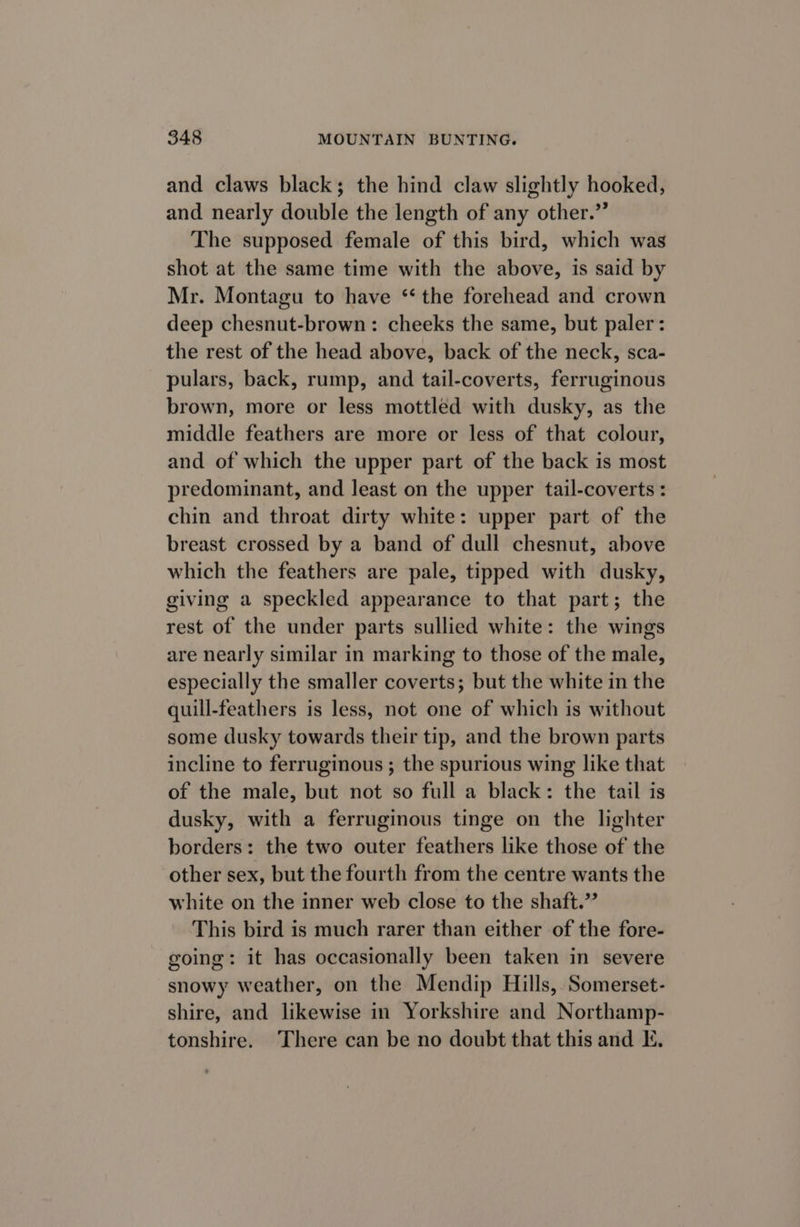 and claws black; the hind claw slightly hooked, and nearly double the length of any other.” The supposed female of this bird, which was shot at the same time with the above, is said by Mr. Montagu to have ‘‘ the forehead and crown deep chesnut-brown: cheeks the same, but paler: the rest of the head above, back of the neck, sca- pulars, back, rump, and tail-coverts, ferruginous brown, more or less mottled with dusky, as the middle feathers are more or less of that colour, and of which the upper part of the back is most predominant, and least on the upper tail-coverts : chin and throat dirty white: upper part of the breast crossed by a band of dull chesnut, above which the feathers are pale, tipped with dusky, giving a speckled appearance to that part; the rest of the under parts sullied white: the wings are nearly similar in marking to those of the male, especially the smaller coverts; but the white in the quill-feathers is less, not one of which is without some dusky towards their tip, and the brown parts incline to ferruginous ; the spurious wing like that of the male, but not so full a black: the tail is dusky, with a ferruginous tinge on the lighter borders: the two outer feathers like those of the other sex, but the fourth from the centre wants the white on the inner web close to the shaft.” This bird is much rarer than either of the fore- going: it has occasionally been taken in severe snowy weather, on the Mendip Hills, Somerset- shire, and likewise in Yorkshire and Northamp- tonshire. There can be no doubt that this and E.
