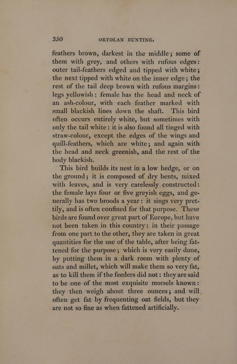 feathers brown, darkest in the middle; some of them with grey, and others with rufous edges: outer tail-feathers edged and tipped with white ; the next tipped with white on the inner edge; the rest of the tail deep brown with rufous margins: legs yellowish: female has the head and neck of an ash-colour, with each feather marked with small blackish lines down the shaft. This bird often occurs entirely white, but sometimes with only the tail white: it is also found all tinged with straw-colour, except the edges of the wings and quill-feathers, which are white; and again with the head and neck greenish, and the rest of the body blackish. This bird builds its nest in a low hedge, or on the ground; it is composed of dry bents, mixed with leaves, and is very carelessly constructed: the female lays four or five greyish eggs, and ge- nerally has two broods a year: it sings very pret- tily, and is often confined for that purpose. These birds are found over great part of Europe, but have not been taken in this country: in their passage from one part to the other, they are taken in great quantities for the use of the table, after being fat- tened for the purpose; which is very easily done, by putting them in a dark room with plenty of oats and millet, which will make them so very fat, as to kill them if the feeders did not: they are said to be one of the most exquisite morsels known: they then weigh about three ounces; and will often get fat by frequenting oat fields, but they are not so fine as when fattened artificially.