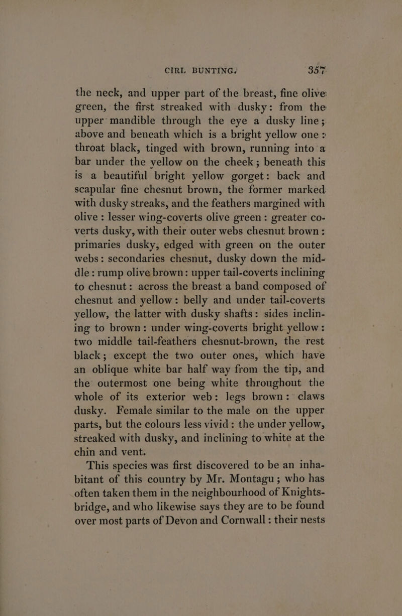 the neck, and upper part of the breast, fine olive: green, the first streaked with dusky: from the upper mandible through the eye a dusky line; above and beneath which is a bright yellow one &gt; throat black, tinged with brown, running into a bar under the vellow on the cheek ; beneath this is a beautiful bright yellow gorget: back and scapular fine chesnut brown, the former marked with dusky streaks, and the feathers margined with olive : lesser wing-coverts olive green: greater co- verts dusky, with their outer webs chesnut brown: primaries dusky, edged with green on the outer webs: secondaries chesnut, dusky down the mid- dle: rump olive brown: upper tail-coverts inclining to chesnut: across the breast a band composed of chesnut and yellow: belly and under tail-coverts yellow, the latter with dusky shafts: sides inclin- ing to brown: under wing-coverts bright yellow: two middle tail-feathers chesnut-brown, the rest black; except the two outer ones, which have an oblique white bar half way from the tip, and the outermost one being white throughout the whole of its exterior web: legs brown: claws dusky. Female similar to the male on the upper parts, but the colours less vivid: the under yellow, streaked with dusky, and inclining to white at the chin and vent. This species was first discovered to be an inha- bitant of this country by Mr. Montagu ; who has often taken them in the neighbourhood of Knights- bridge, and who likewise says they are to be found over most parts of Devon and Cornwall : their nests