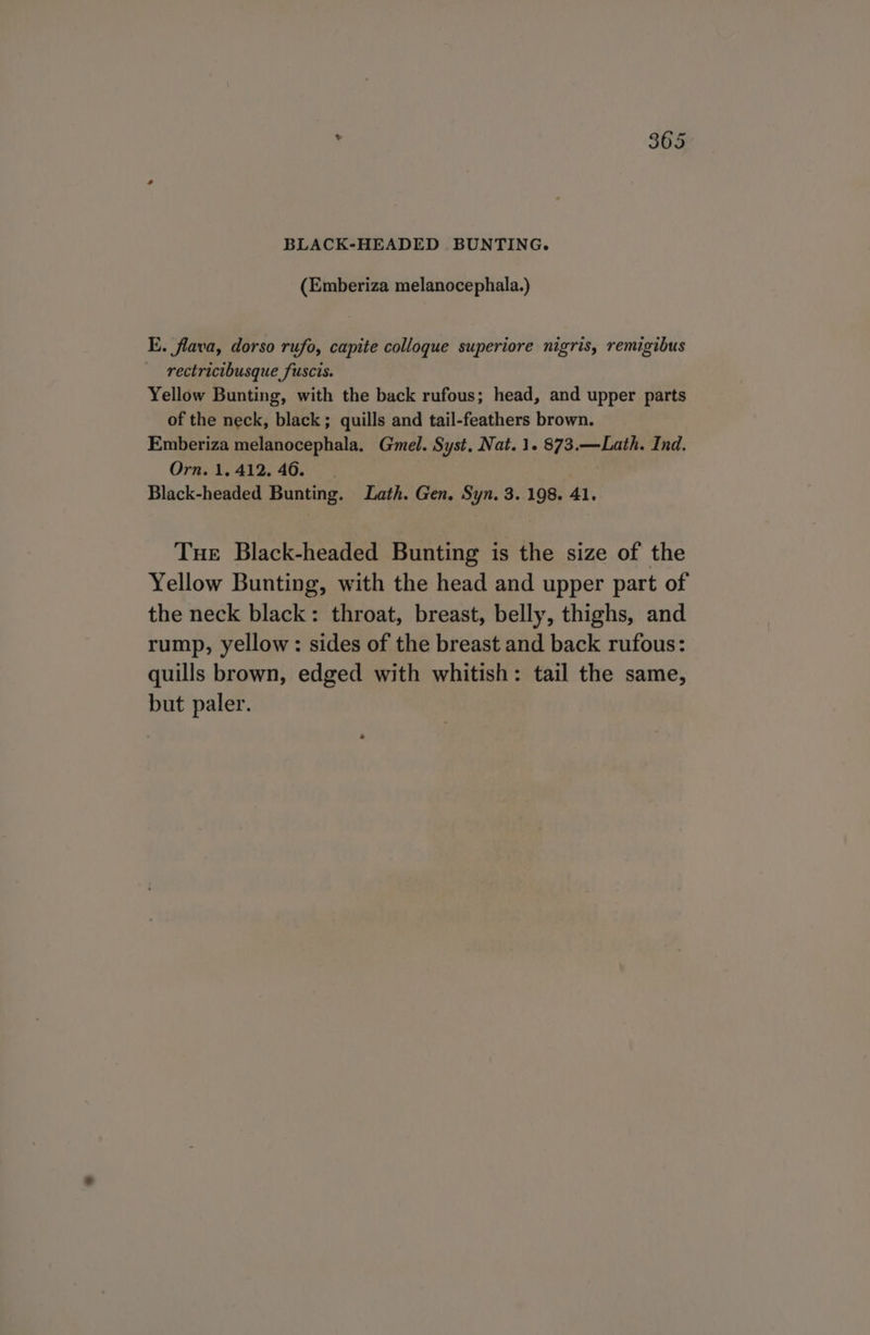 (Emberiza melanocephala.) E. flava, dorso rufo, capite colloque superiore nigris, remigibus rectricibusque fuscis. Yellow Bunting, with the back rufous; head, and upper parts of the neck, black; quills and tail-feathers brown. Emberiza melanocephala. Gmel. Syst. Nat. 1. 873.—Lath. Ind. Orn. 1,412.46. Black-headed Bunting. Lath. Gen. Syn. 3. 198. 41. Tue Black-headed Bunting is the size of the Yellow Bunting, with the head and upper part of the neck black: throat, breast, belly, thighs, and rump, yellow: sides of the breast and back rufous: quills brown, edged with whitish: tail the same, but paler.