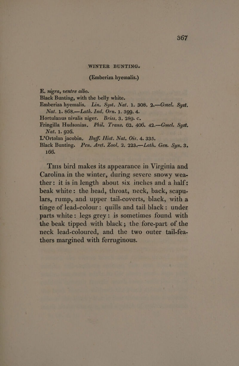 (Emberiza hyemalis.) E, nigra, ventre albo. Black Bunting, with the belly white. Emberiza hyemalis, Lin, Syst. Nat. 1. 308. 2.—Gmel. Syst. Nat. 1. 868.—Lath. Ind. Orn. 1. 399. 4. Hortulanus nivalis niger. Briss. 3. 289. c. Fringilla Hudsonias. Phil. Trans. 62, 400. 42.—Gmel. Syst. Nat. 1. 926. L’Ortolan jacobin. Buff: Hist. Nat. Ois. 4. 335. Black Bunting. Pen. Arct. Zool, 2, 223.—Lath. Gen. Syn. 3. 166. Tuts bird makes its appearance in Virginia and Carolina in the winter, during severe snowy wea- ther: it is in length about six inches and a half: beak white: the head, throat, neck, back, scapu- lars, rump, and upper tail-coverts, black, with a tinge of lead-colour: quills and tail black: under parts white: legs grey: is sometimes found with the beak tipped with black; the fore-part of the neck lead-coloured, and the two outer tail-fea- thers margined with ferruginous.