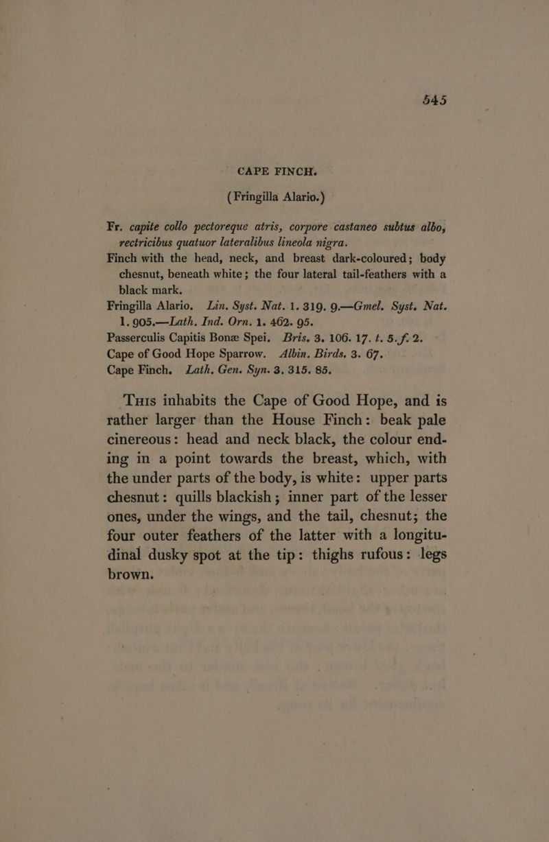 CAPE FINCH. (Fringilla Alario.) — Fr. capite collo pectoreque atris, corpore castaneo subtus albo, rectricibus quatuor lateralibus lineola nigra. Finch with the head, neck, and breast dark-coloured; body chesnut, beneath white; the four lateral tail-feathers with a black mark. Fringilla Alario. Lin. Syst. Nat..1. 319. 9.—Gmel. Syst. Nat. 1. 905.—Lath. Ind. Orn. 1. 462. 95. Passerculis Capitis Bone Spei. Bris. 3. 106. 17. t. 5. f. 2. Cape of Good Hope Sparrow. Albin. Birds, 3. 67. Cape Finch. Lath, Gen. Syn. 3, 315. 85. Tuts inhabits the Cape of Good Hope, and is rather larger than the House Finch: beak pale cinereous: head and neck black, the colour end- ing in a point towards the breast, which, with the under parts of the body, is white: upper parts chesnut: quills blackish ; inner part of the lesser ones, under the wings, and the tail, chesnut; the four outer feathers of the latter with a longitu- dinal dusky spot at the tip: thighs rufous: legs brown.
