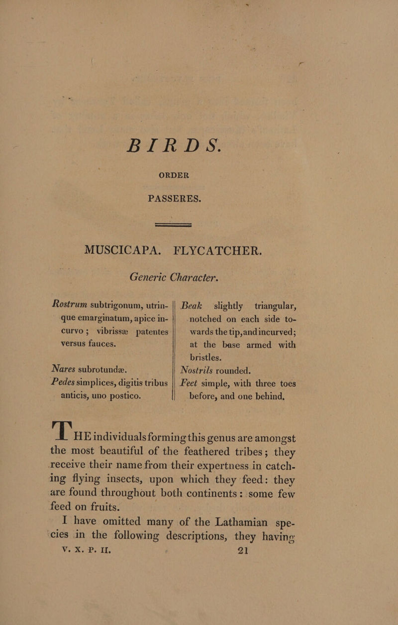 BIRDS. ORDER PASSERES. MUSCICAPA. FLYCATCHER. Generic Character. Rostrum subtrigonum, utrin- || Beak slightly _ triangular, que emarginatum, apice in- notched on each side to- curvo; vibrisse patentes wards the tip,and incurved; versus fauces. at the base armed with bristles. Nares subrotunde. Nostrils rounded. Pedes simplices, digitis tribus |] Feet simple, with three toes anticis, uno postico. before, and one behind. Tus individuals forming this genus are amongst the most beautiful of the feathered tribes; they receive their name from their expertness in catch- ing flying insects, upon which they feed: they are found throughout both continents: some few feed on fruits. ete! I have omitted many of the Lathamian spe- cies in the following descriptions, they having Vv. X. P. Il, 21