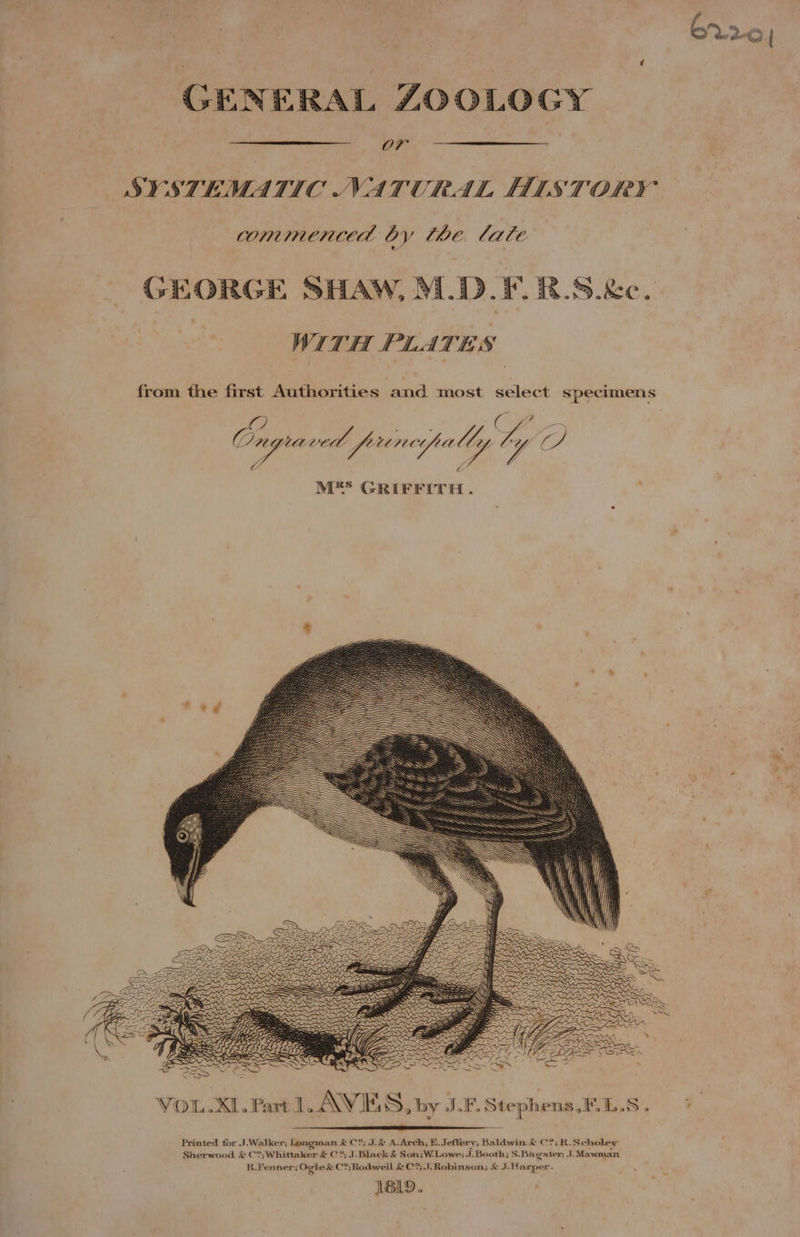 GENERAL ZOOLOGY OT SYSTEMATIC NATURAL HISTORY commenced by the lite .D.F. B.S. &amp;e. WITH PLATES GEORGE SHAW, 7 from the first Authorities and most select specimens LD ‘et Ongaved | eric Anite ri i) Ka hag aed, MES GRIFFITH. Yip Ud th hidy: , ify Printed. for J.Walker; Longman. RCO S&amp; A.Arch, E. Jeffery; Baldwin &amp; C°;R. Scholey Sherwood &amp; C?; Whittaker &amp; C ?; J. Black &amp; Son;W.Lowe; J. Booth; S.Bagster; J.Mawman R. Fenner; Ogile &amp; C?;Rodweil &amp; C%; J. Robinson; &amp; J.Harper. 1&amp;9. brir0