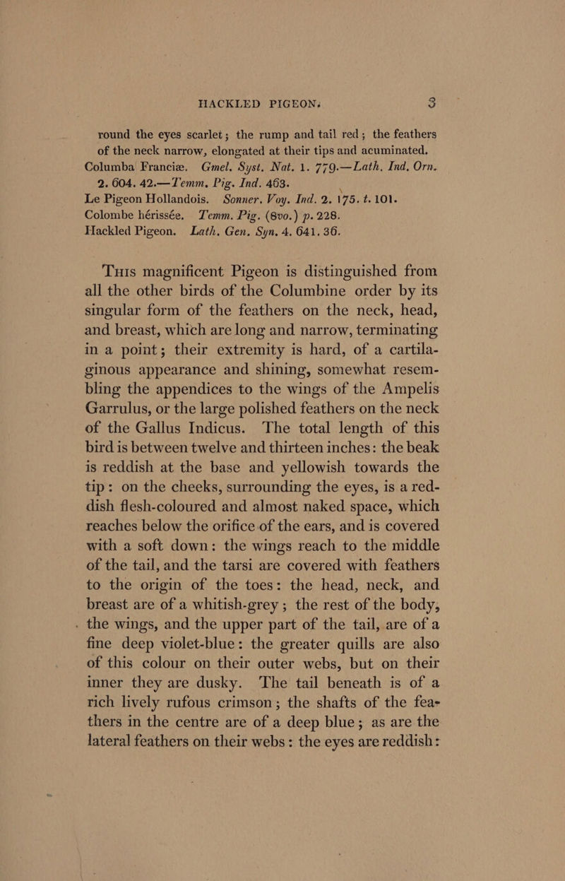 round the eyes scarlet; the rump and tail red; the feathers of the neck narrow, elongated at their tips and acuminated. Columba Francie. Gmel. Syst. Nat. 1. 779.—Lath. Ind, Orn. 2.604. 42.—T'emm, Pig. Ind. 463. : Le Pigeon Hollandois. Sonner. Voy. Ind. 2. 175. t. 101. Colombe hérissée. Zemm. Pig. (8vo.) p. 228. Hackled Pigeon. Lath, Gen. Syn, 4. 641. 36. Tuts magnificent Pigeon is distinguished from all the other birds of the Columbine order by its singular form of the feathers on the neck, head, and breast, which are long and. narrow, terminating in a point; their extremity is hard, of a cartila- ginous appearance and shining, somewhat resem- bling the appendices to the wings of the Ampelis Garrulus, or the large polished feathers on the neck of the Gallus Indicus. The total length of this bird is between twelve and thirteen inches: the beak is reddish at the base and yellowish towards the tip: on the cheeks, surrounding the eyes, is a red- dish flesh-coloured and almost naked space, which reaches below the orifice of the ears, and is covered with a soft down: the wings reach to the middle of the tail, and the tarsi are covered with feathers to the origin of the toes: the head, neck, and breast are of a whitish-grey ; the rest of the body, . the wings, and the upper part of the tail, are of a fine deep violet-blue: the greater quills are also of this colour on their outer webs, but on their inner they are dusky. ‘The tail beneath is of a rich lively rufous crimson; the shafts of the fea- thers in the centre are of a deep blue; as are the lateral feathers on their webs: the eyes are reddish: