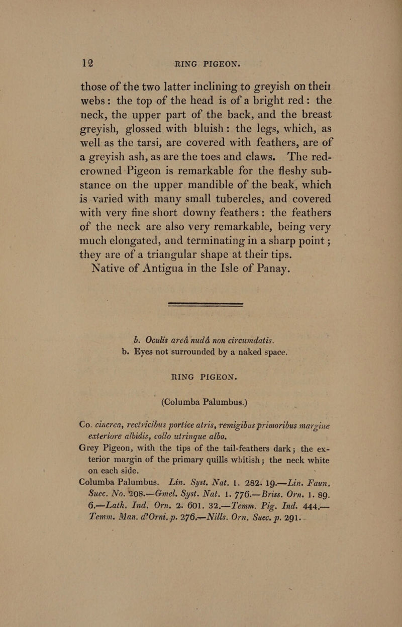 those of the two latter inclining to greyish on thei: webs: the top of the head is of a bright red: the neck, the upper part of the back, and the breast greyish, glossed with bluish: the legs, which, as well as the tarsi, are covered with feathers, are of a greyish ash, as are the toes and claws. The red- crowned Pigeon is remarkable for the fleshy sub- stance on the upper. mandible of the beak, which is varied with many small tubercles, and covered with very fine short downy feathers: the feathers of the neck are also very remarkable, being very much elongated, and terminating in a sharp point ; they are of a triangular shape at their tips. Native of Antigua in the Isle of Panay. b. Oculis area nudé non circumdatis. b. Eyes not surrounded by a naked space. RING PIGEON. (Columba Palumbus.) Co. cinerea, rectricibus portice atris, remigibus primoribus margine exteriore albidis, collo utringue albo, Grey Pigeon, with the tips of the tail-feathers dark; the ex- terior margin of the primary quills whitish; the neck white on each side. ; Columba Palumbus. Lin. Syst. Nat. 1. 282. 19.—Lin. Faun. Suec. No. 208.—Gmel. Syst. Nat. 1. 776.—Briss. Orn. 1. 89. 6.—Lath. Ind, Orn, 2. 601. 32,—Temm. Pig. Ind. 444,.— Temm. Man. d?Ornt, p. 276,—WNills. Orn, Suec. p. 291. )