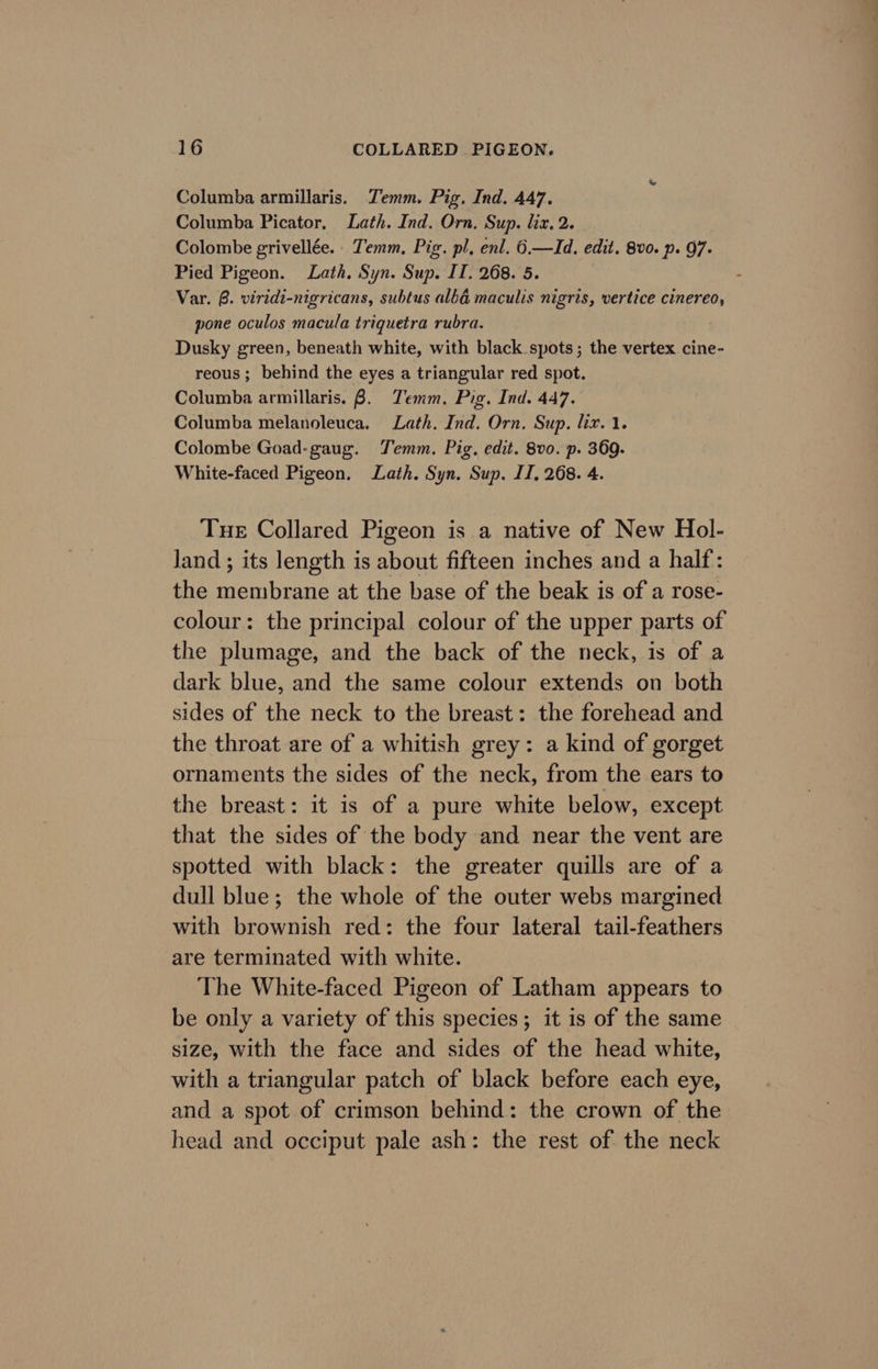 Columba armillaris. Temm. Pig. Ind. 447. Columba Picator, Lath. Ind. Orn. Sup. liz. 2. Colombe grivellée. Temm., Pig. pl, enl. 6.—Id. edit, 8v0. p. 97. Pied Pigeon. Lath, Syn. Sup. IT. 268. 5. Var. 8. viridi-nigricans, subtus albé maculis nigris, vertice cinereo, pone oculos macula triquetra rubra. Dusky green, beneath white, with black. spots; the vertex cine- reous ; behind the eyes a triangular red spot. Columba armillaris. 8B. Temm. Pig. Ind. 447. Columba melanoleuca. Lath. Ind. Orn. Sup. lix. 1. Colombe Goad-gaug. Temm. Pig. edit. 8vo. p. 369. White-faced Pigeon. Lath. Syn. Sup. II, 268. 4. Tue Collared Pigeon is a native of New Hol- Jand ; its length is about fifteen inches and a half: the membrane at the base of the beak is of a rose- colour: the principal colour of the upper parts of the plumage, and the back of the neck, is of a dark blue, and the same colour extends on both sides of the neck to the breast: the forehead and the throat are of a whitish grey: a kind of gorget ornaments the sides of the neck, from the ears to the breast: it is of a pure white below, except that the sides of the body and near the vent are spotted with black: the greater quills are of a dull blue; the whole of the outer webs margined with brownish red: the four lateral tail-feathers are terminated with white. The White-faced Pigeon of Latham appears to be only a variety of this species; it is of the same size, with the face and sides of the head white, with a triangular patch of black before each eye, and a spot of crimson behind: the crown of the head and occiput pale ash: the rest of the neck