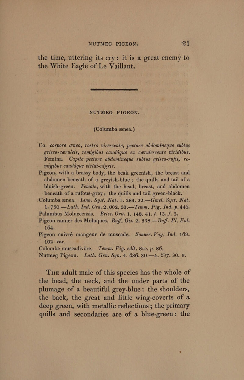 the time, uttering its cry: it is a great enemy to the White Eagle of Le Vaillant. NUTMEG PIGEON. (Columba enea.) Co. corpore neo, rostro virescente, pectore abdomineque subtus griseo-ceruleis, remigibus cauddque ex cerulescente viridibus. Femina. Capite pectore abdomineque subtus griseo-rufis, re- migibus cauddque viridi-nigris. Pigeon, with a brassy body, the beak greenish, the breast and abdomen beneath of a greyish-blue ; the quills and tail of a bluish-green. Female, with the head, breast, and abdomen beneath of a rufous-grey ; the quills and tail green-black. ‘Columba eznea. Linn. Syst. Nat. 1, 283, 22.—Gmel. Syst. Nat. 1. 780.—Lath. Ind, Orn. 2. 602. 33.—Temm. Pig. Ind. p. 440. Palumbus Moluccensis, Briss. Orn. 1. 148. 41. ¢. 13. f. 2. Pigeon ramier des Moluques. Buff. Ois. 2. 538.—Buff. Pl. Enl. 164. : Pigeon cuivré mangeur de muscade, Sonner. Voy. Ind. 168. 102. var. Colombe muscadivére. Temm. Pig. edit, 8vo. p. 86. Nutmeg Pigeon. Lath. Gen. Syn. 4. 636. 30.—4. 637. 30. B. Tue adult male of this species has the whole of the head, the neck, and the under parts of the plumage of a beautiful grey-blue: the shoulders, the back, the great and little wing-coverts of a deep green, with metallic reflections ; the primary quills and secondaries are of a blue-green: the