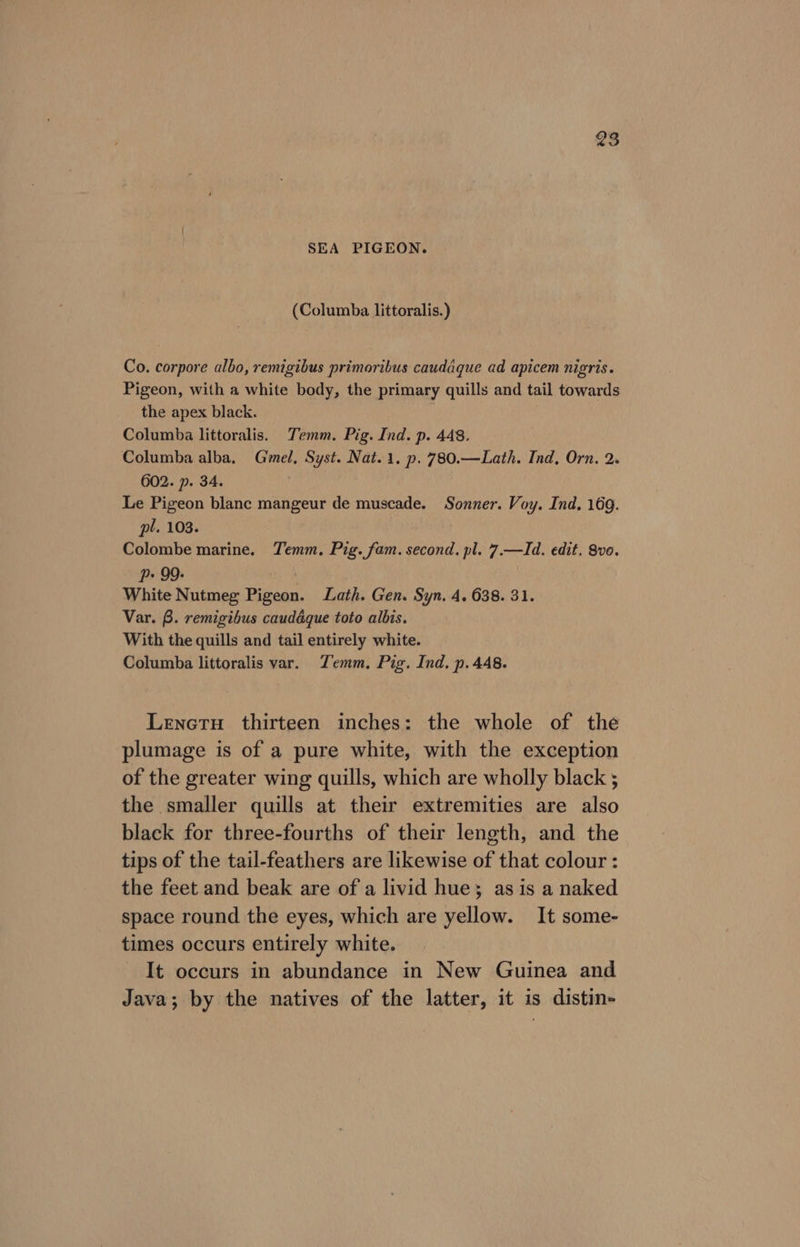 SEA PIGEON. (Columba littoralis.) Co. corpore albo, remigibus primoribus caudaque ad apicem nigris. Pigeon, with a white body, the primary quills and tail towards the apex black. Columba littoralis. Temm. Pig. Ind. p. 448. Columba alba, Gimel, Syst. Nat.1. p. 780.—Lath. Ind, Orn. 2. 602. p. 34. Le Pigeon blanc mangeur de muscade. Sonner. Voy. Ind. 169. pl. 103. Colombe marine. Temm. Pig. fam. second. pl. 7.—Id. edit. Sve. p» 99: aie White Nutmeg Pigeon. Lath. Gen. Syn. 4. 638. 31. Var. B. remigibus caudaéque toto albis. With the quills and tail entirely white. Columba littoralis var. TZemm, Pig. Ind. p. 448. Lenetu thirteen inches: the whole of the plumage is of a pure white, with the exception of the greater wing quills, which are wholly black ; the smaller quills at their extremities are also black for three-fourths of their length, and the tips of the tail-feathers are likewise of that colour : the feet and beak are of a livid hue}; as is a naked space round the eyes, which are yellow. It some- times occurs entirely white. It occurs in abundance in New Guinea and Java; by the natives of the latter, it is distin-