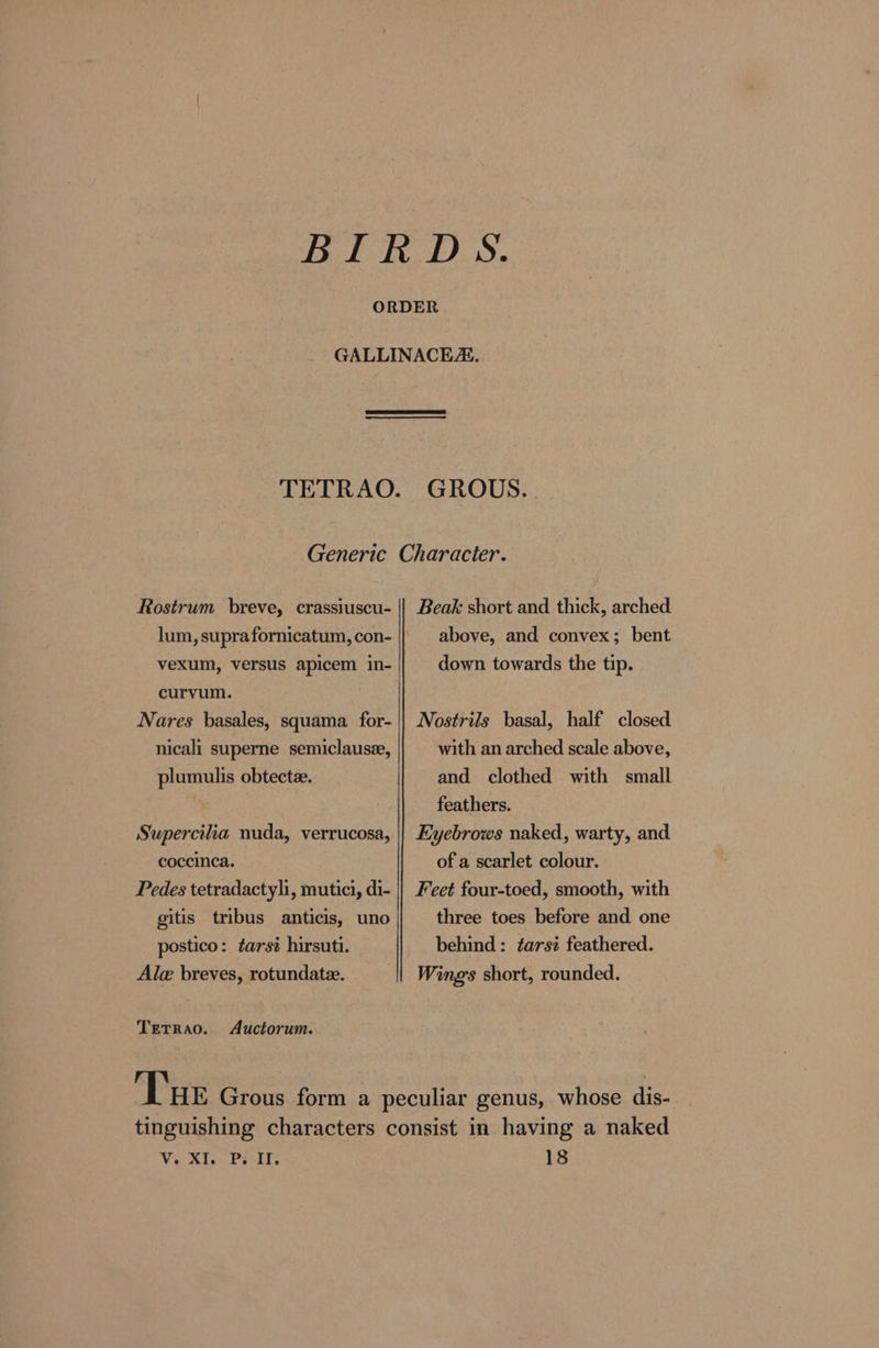 Rostrum breve, crassiuscu- vexum, versus apicem in- curvum. Nares basales, squama for- nicali superne semiclause, plumulis obtecte. Superciia nuda, verrucosa, coccinca. Pedes tetradactyli, mutici, di- gitis tribus anticis, uno postico: ¢arsi hirsuti. Ale breves, rotundatee. Terrao. Auctorum. Beak short and thick, arched above, and convex; bent down towards the tip. Nostrils basal, half closed with an arched scale above, and clothed with small feathers. Eyebrows naked, warty, and of a scarlet colour. Feet four-toed, smooth, with three toes before and one behind: tars feathered. Wings short, rounded. V &gt;a Ps II. 18