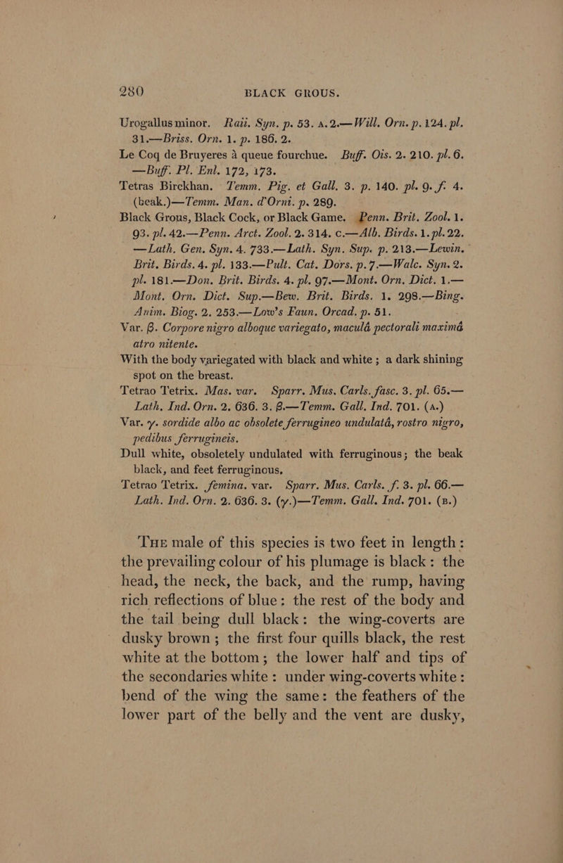 Urogallusminor. Rai. Syn. p. 53. a.2.—Will. Orn. p. 124. pl. 31.—Briss. Orn. 1. p. 186. 2. Le Coq de Bruyeres 4 queue fourchue. Buff. Ois. 2. 210. pl. 6. — Buff. Pl. Enl. 172, 173. | Tetras Birckhan. Yemm. Pig. et Gall. 3. p. 140. pl. 9. f. 4. (beak.)—Temm. Man. d’Ornt. p. 289. Black Grous, Black Cock, or Black Game, Penn. Brit. Zool. 1. 93. pl.42.—Penn. Arct. Zool. 2. 314. c.— Alb. Birds. 1. pl. 22. — Lath. Gen. Syn. 4. 733.—Lath. Syn. Sup. p. 213.—Lewin. Brit. Birds. 4. pl. 133.—Pult. Cat. Dors. p.7.—Walc. Syn. 2. pl. 181.—Don. Brit. Birds. 4. pl. 97.—Mont. Orn. Dict. 1.— Mont. Orn. Dict. Sup.—Bew. Brit. Birds. 1. ee Anim. Biog. 2, 253.—Low’s Faun. Orcad, p. 51. Var. 8. Corpore nigro alboque variegato, macula pectorali maxima atro nitente. With the body variegated with black and white ; a dark shining spot on the breast. ; Tetrao Tetrix. Mas. var. Sparr. Mus, Carls. fasc. 3. pl. 65.— Lath, Ind. Orn. 2. 636. 3. 8.—Temm. Gall, Ind. 701. (a.) Var. y. sordide albo ac obsolete ferrugineo undulata, rostro nigro, pedibus ferrugineis. Dull white, obsoletely umauiated with ferruginous; the beak black, and feet ferruginous, Tetrao Tetrix. femina. var. Sparr. Mus. Carls. f. 3. pl. 66.— Lath. Ind. Orn. 2. 636. 3. (y.)—Temm. Gall. Ind. 701. (8.) Tue male of this species is two feet in length: the prevailing colour of his plumage is black: the head, the neck, the back, and the rump, having rich reflections of blue: the rest of the body and the tail being dull black: the wing-coverts are dusky brown ; the first four quills black, the rest white at the bottom; the lower half and tips of the secondaries white : under wing-coverts white : bend of the wing the same: the feathers of the lower part of the belly and the vent are dusky,