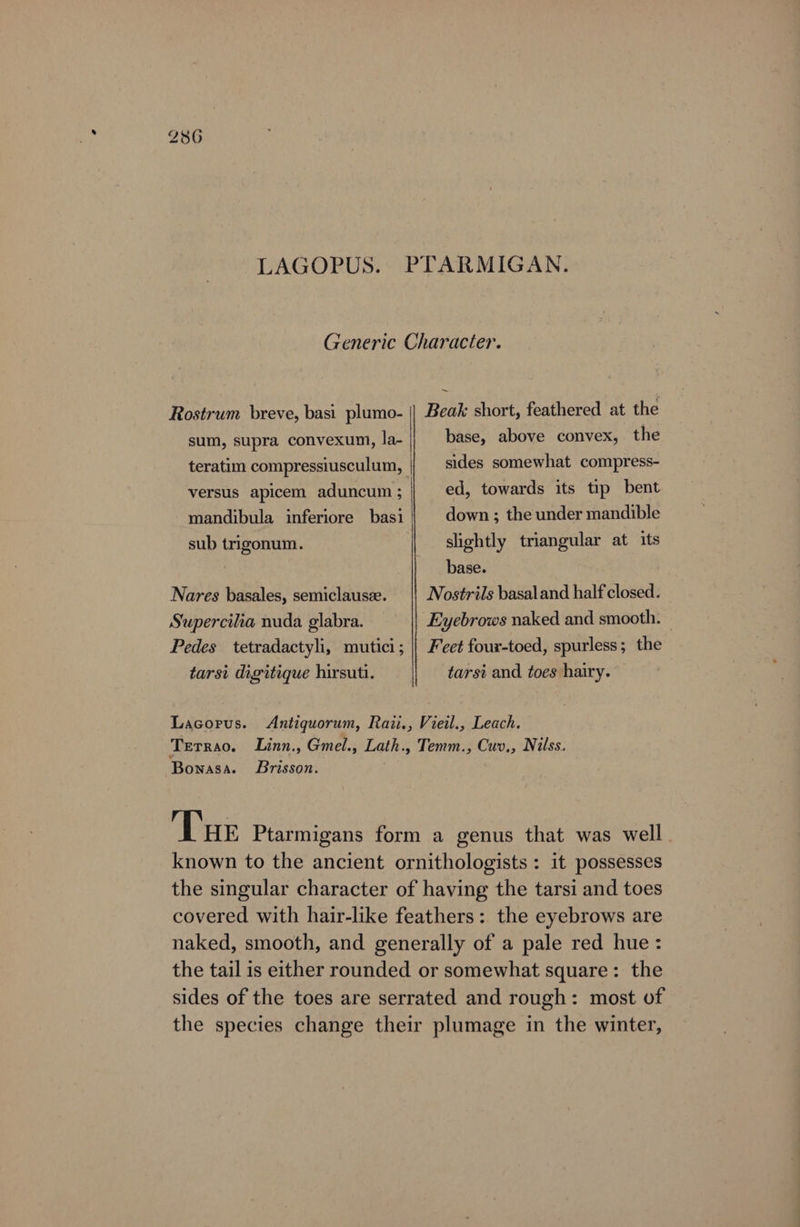 8 LAGOPUS. PTARMIGAN. Generic Character. Rostrum breve, basi plumo- || Beak short, feathered at the sum, supra convexum, la- base, above convex, the teratim compressiusculum, || sides somewhat compress- versus apicem aduncum ; ed, towards its tip bent mandibula inferiore basi down ; the under mandible sub trigonum. slightly triangular at its | base. Nares basales, semiclauseze. Nostrils basaland half closed. Supercilia nuda glabra. Eyebrows naked and smooth. — Pedes tetradactyli, mutici; | Feet four-toed, spurless; the tarsi digitique hirsuti. tarsi and toes hairy. Lacorus. Antiquorum, Raii., Vieil., Leach. Terrao. Linz., Gmel., Lath., Temm., Cuv., Nilss. Bonasa. Brisson. Tur Ptarmigans form a genus that was well . known to the ancient ornithologists : it possesses the singular character of having the tarsi and toes covered with hair-like feathers: the eyebrows are naked, smooth, and generally of a pale red hue: the tail is either rounded or somewhat square: the sides of the toes are serrated and rough: most of the species change their plumage in the winter,